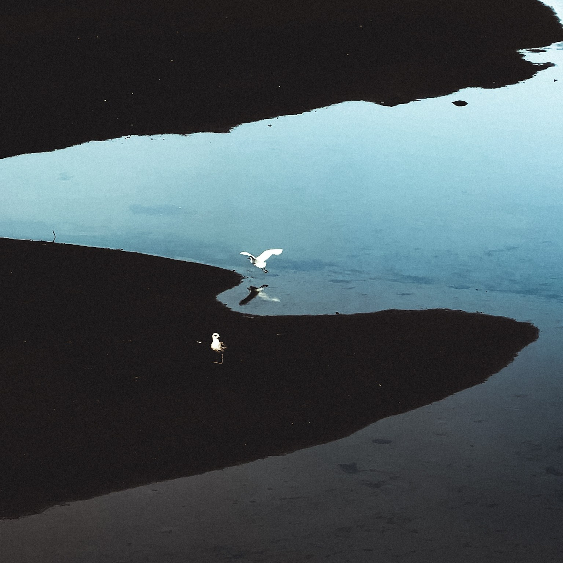 The Way