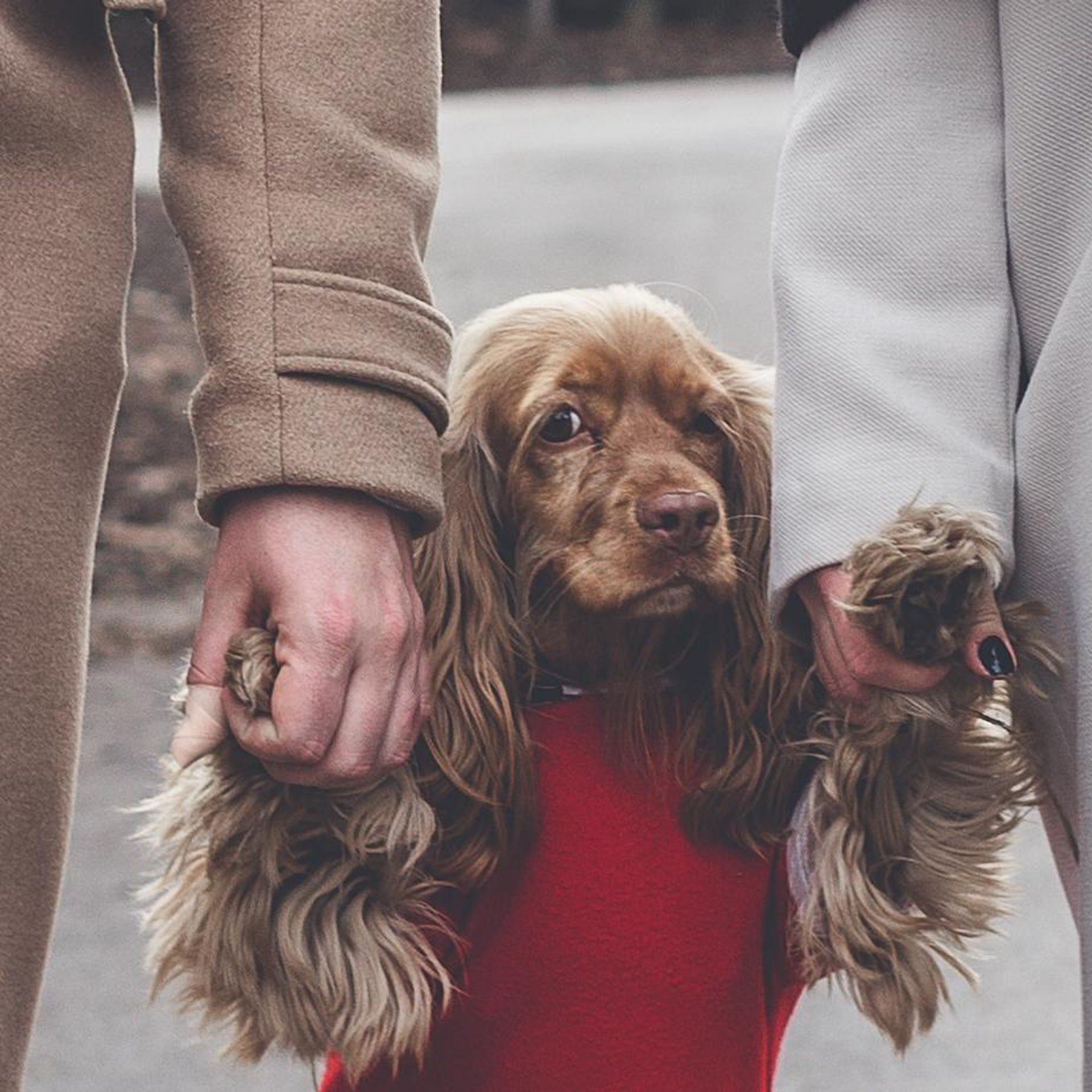 Testimonials. Тетяна Шишкіна фотографиня і дослідниця