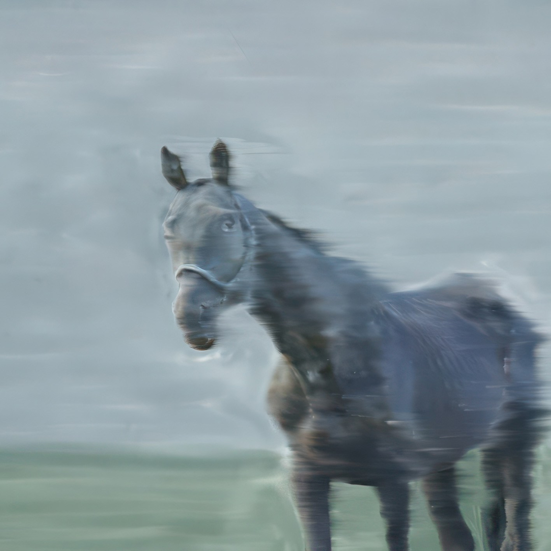 Innocence and Experience