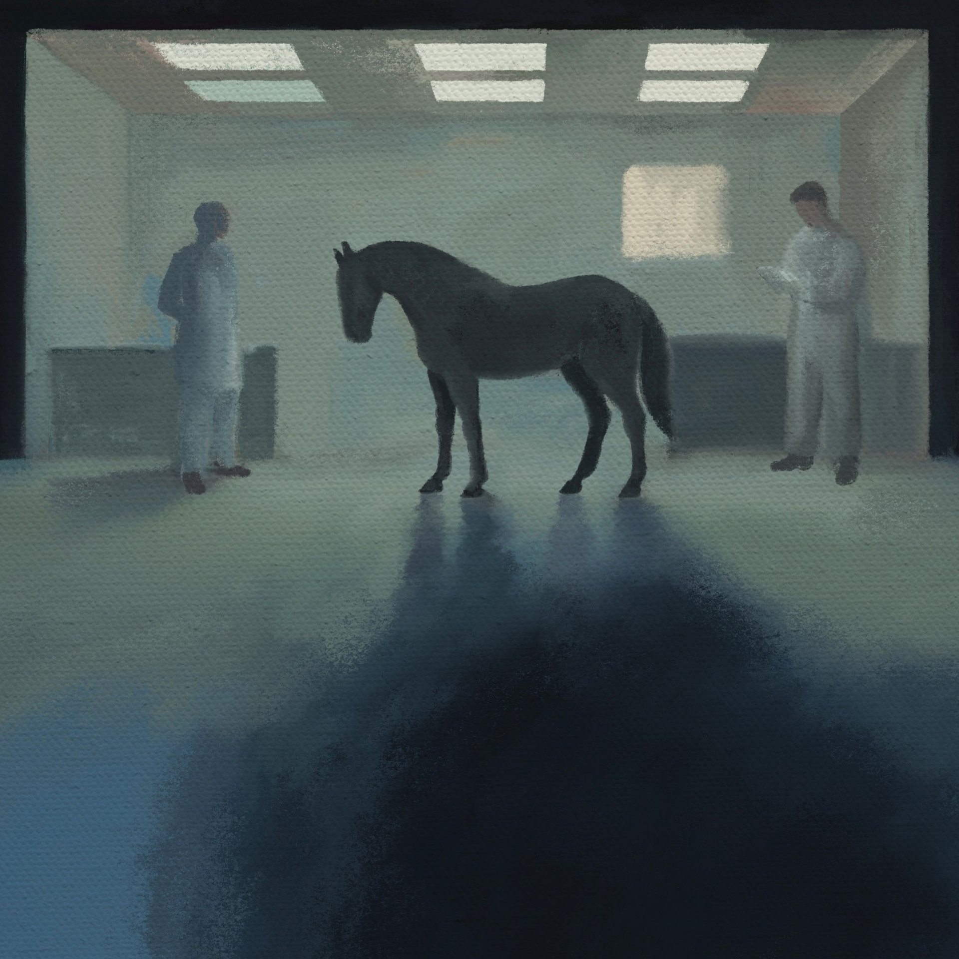 Horse Hospital