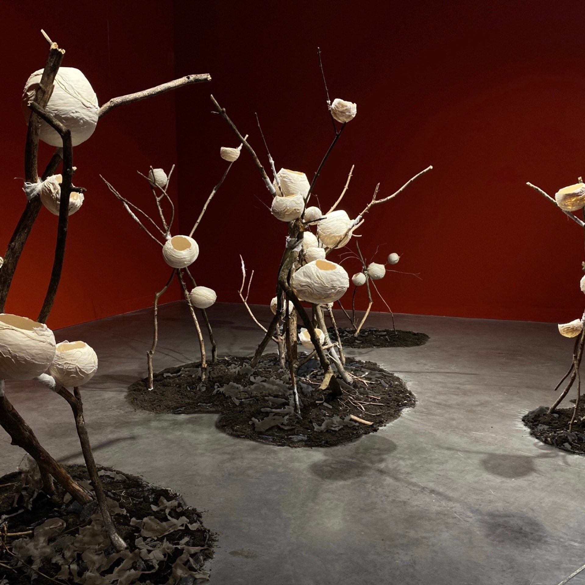 Espace transitoire.2024