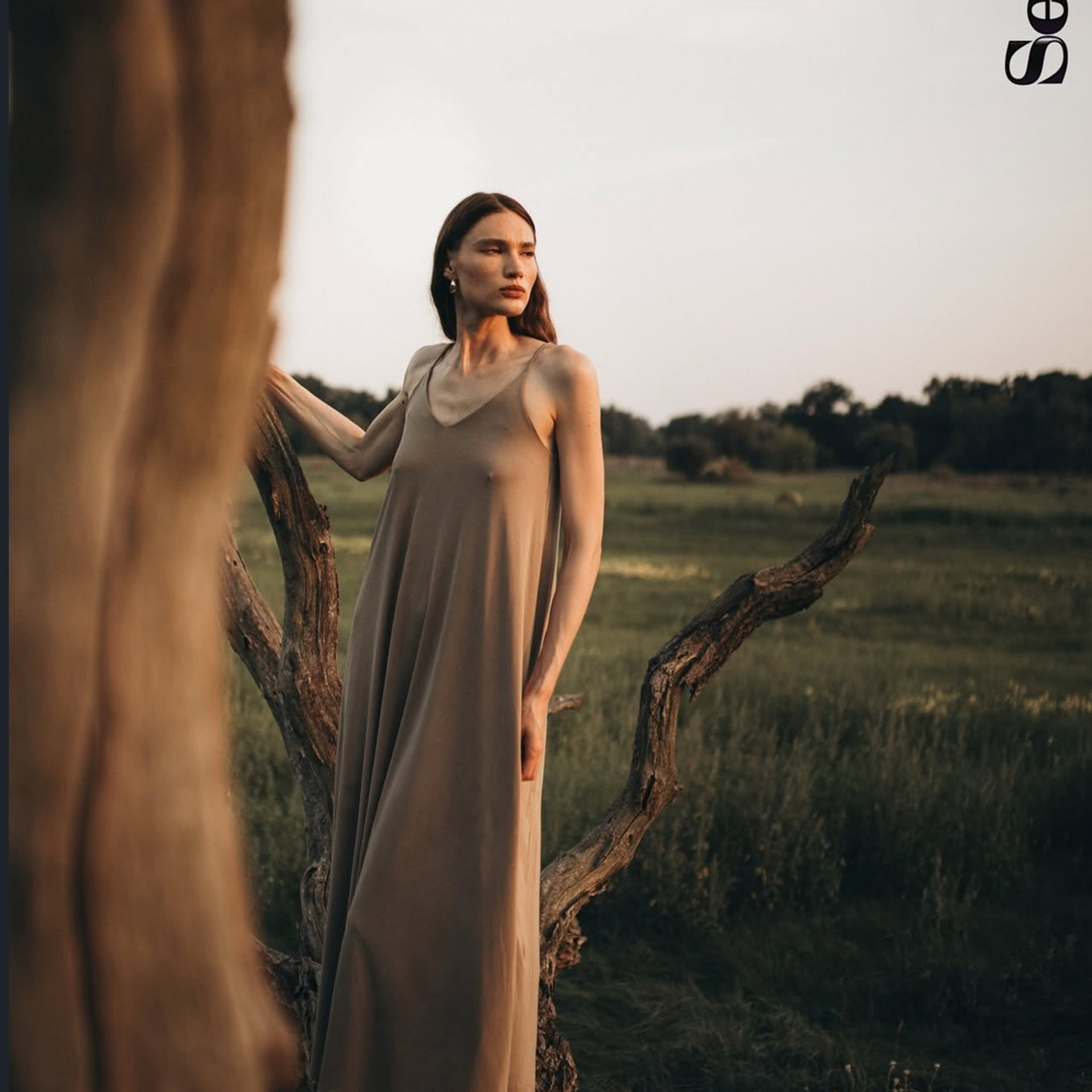 Editorial