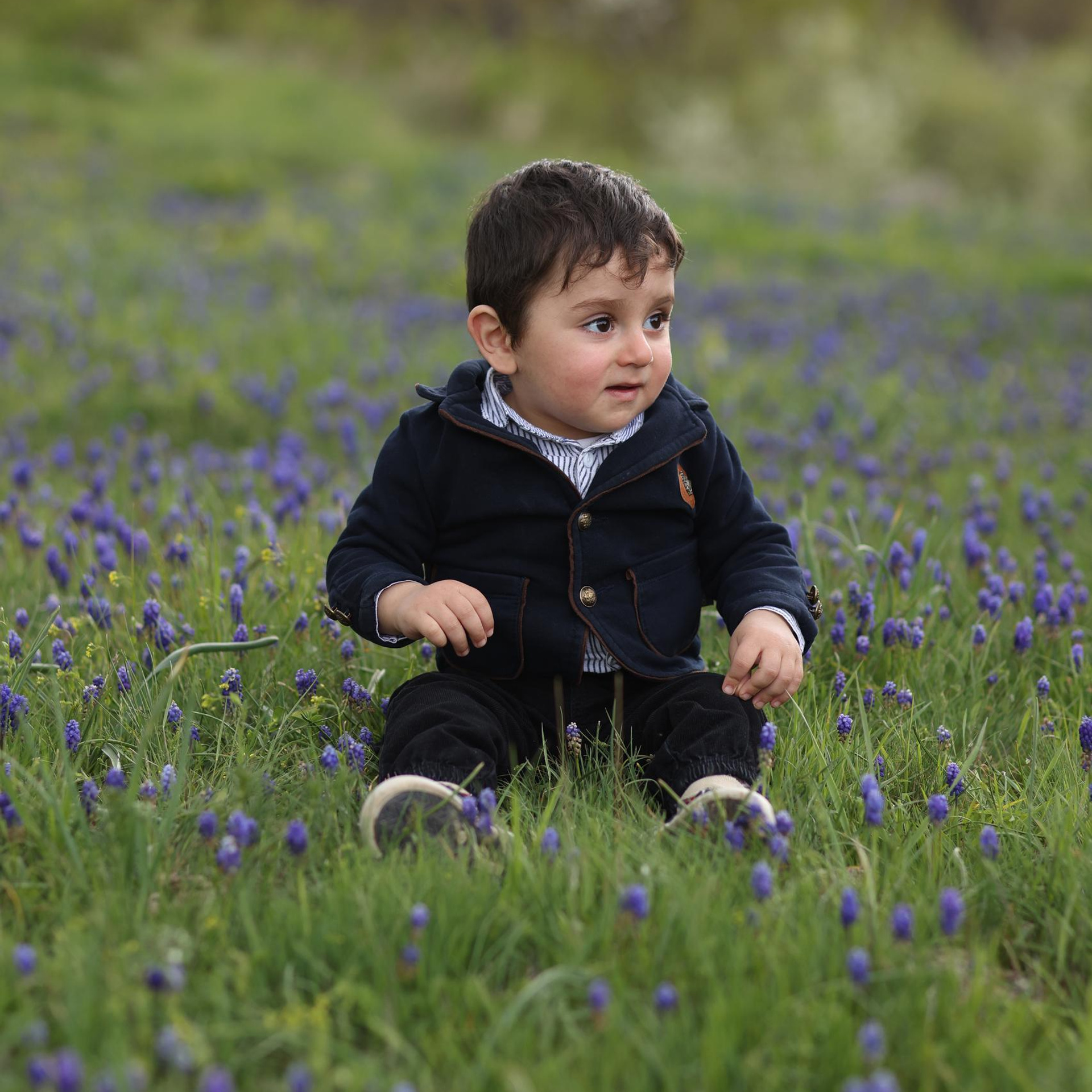 Отзывы. Детский и семейный фотограф Армения, Грузия