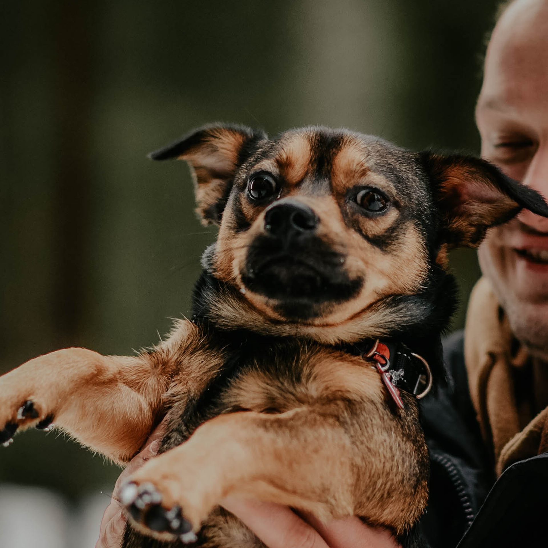 Gabriela & Deivid. Photographer from Vilnius