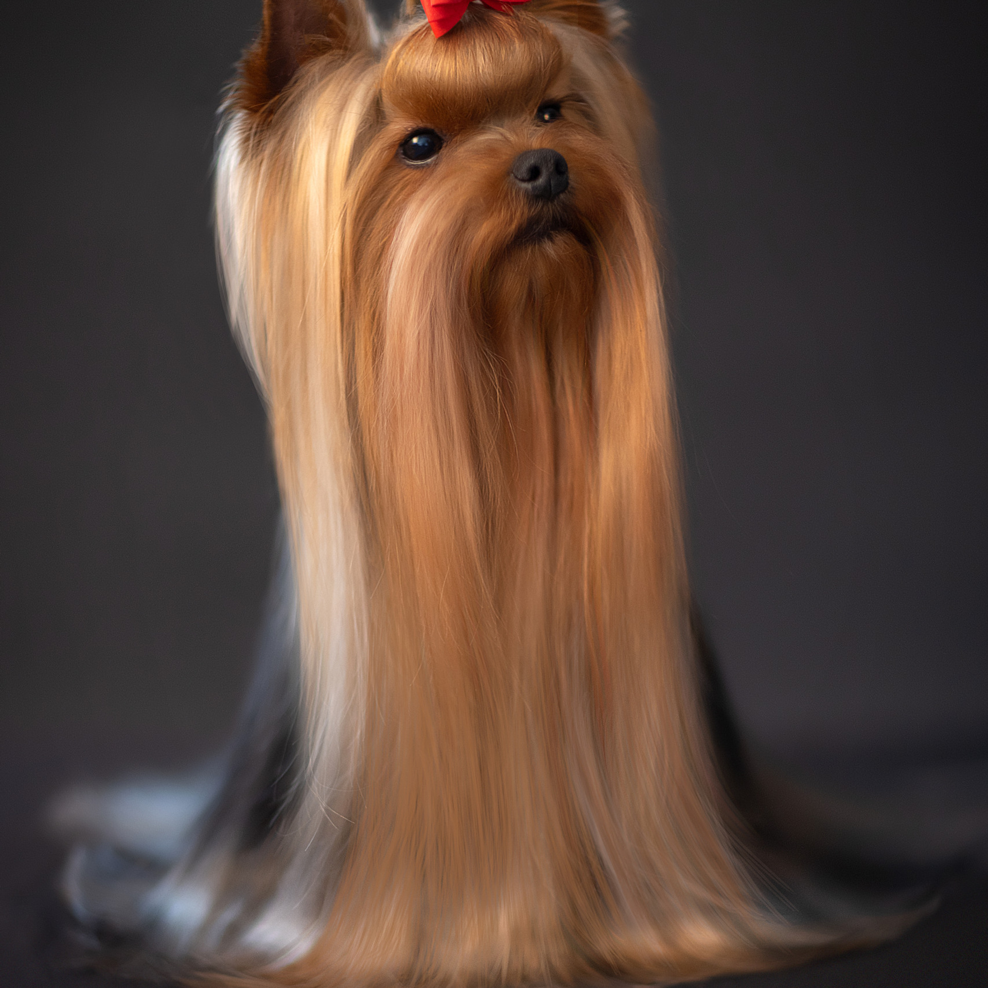 Отзывы. Фотограф в Таллине Виктория Баранова |фотосессии и обучение / Photographer Viktoria Baranova