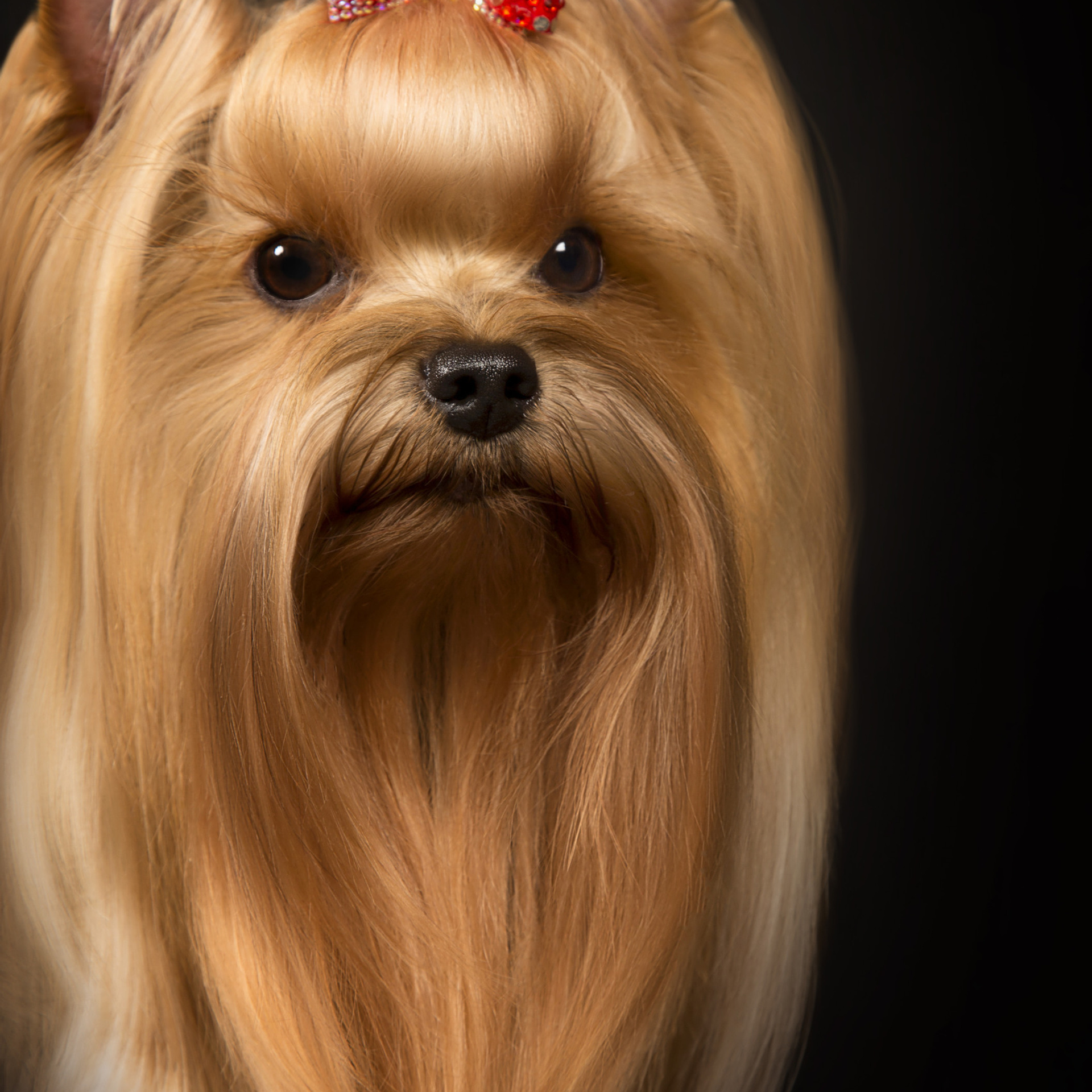 Отзывы. Фотограф в Таллине Виктория Баранова |фотосессии и обучение / Photographer Viktoria Baranova