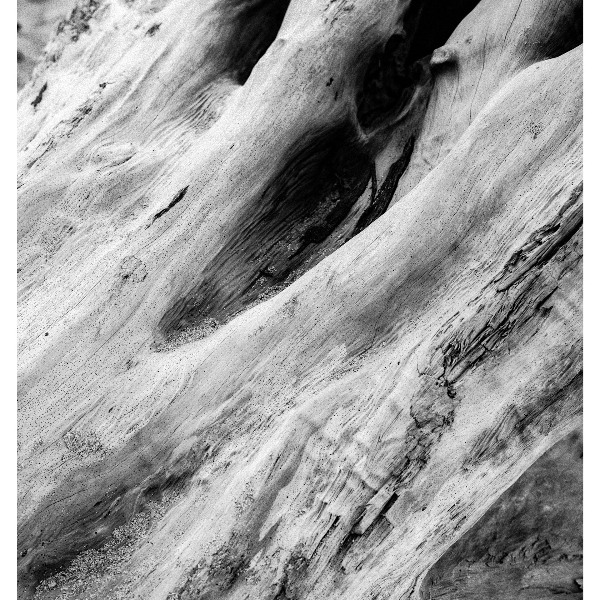 Alexandra. Фотограф/ индивидуальные съемки, бренды, lovestory