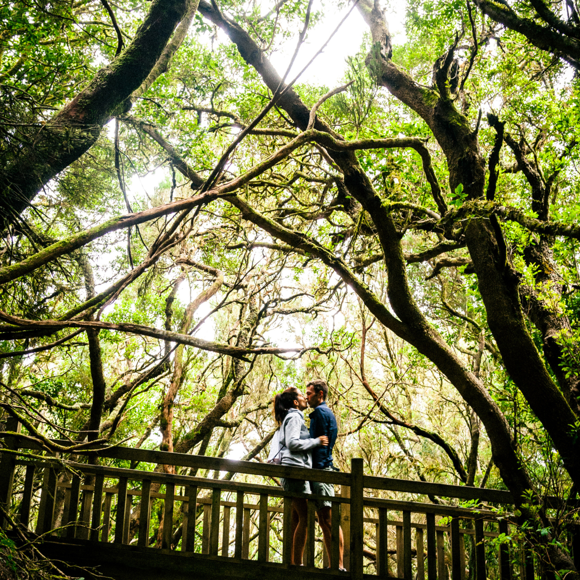 Photography Tenerife. Photographer Tenerife Edgar Zubarev