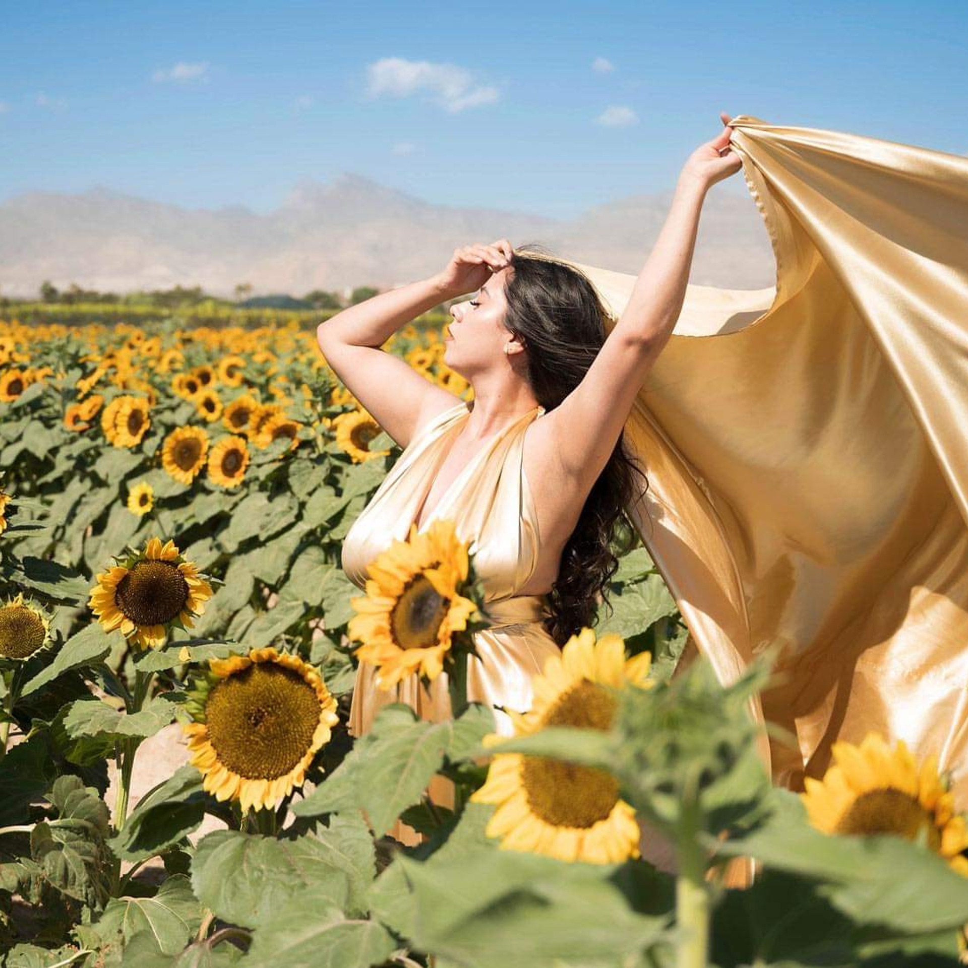 Testimonials. Creative photographer in Las Vegas