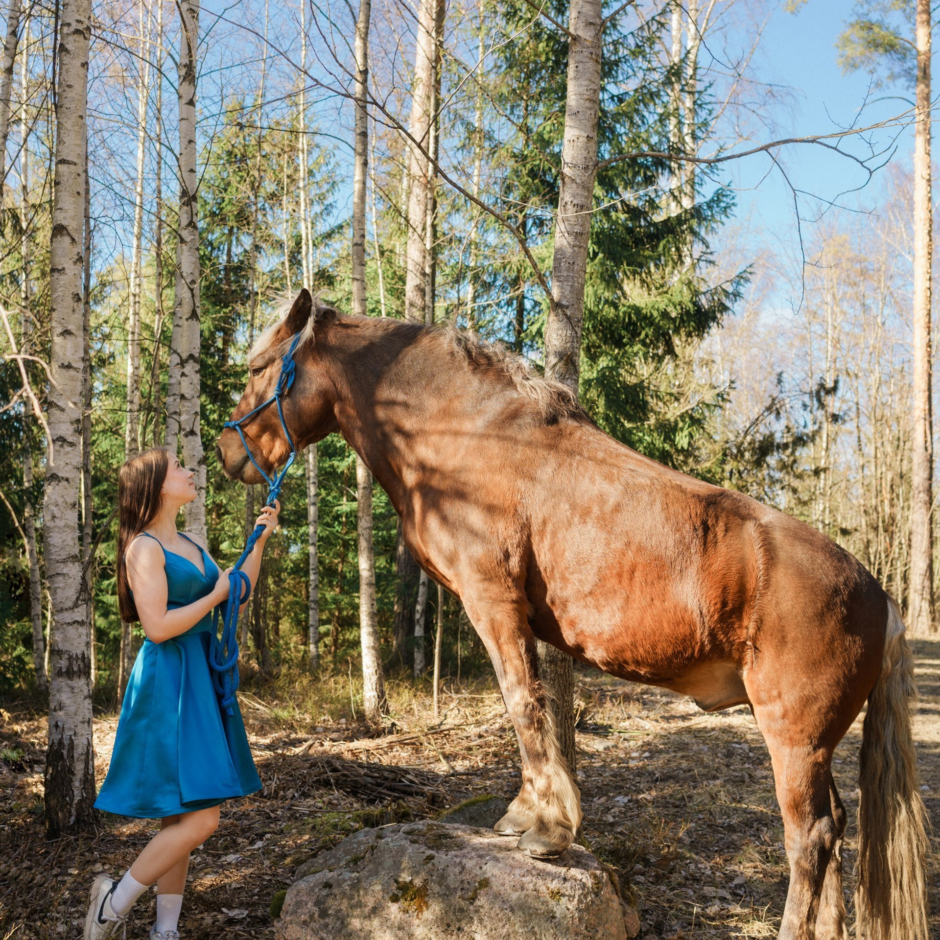 Rippikuvaus Tuomarinkylän kartanon alueella