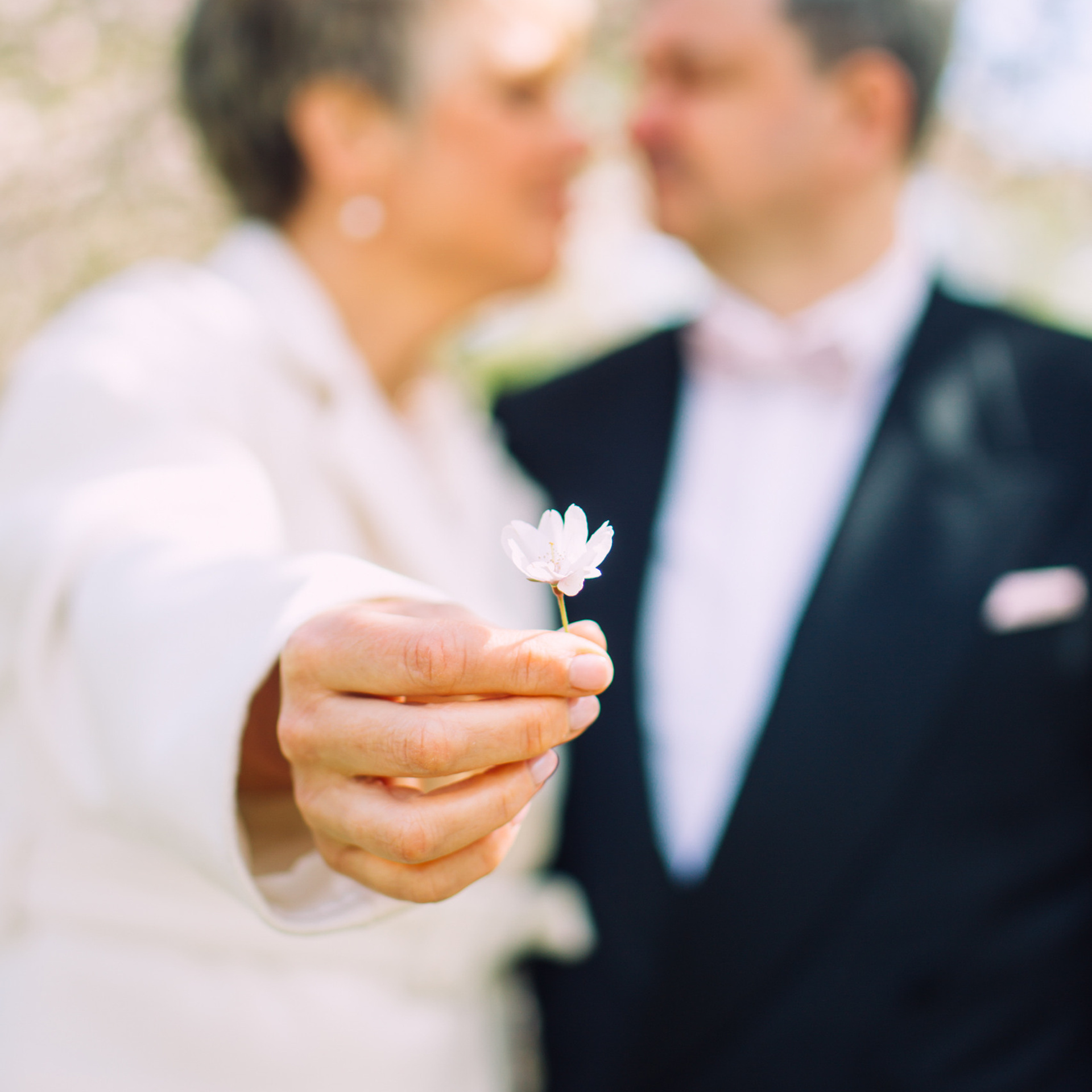 Kāzu fotogrāfa atsauksmes. Kāzu fotogrāfs Rīgā Yury Kor