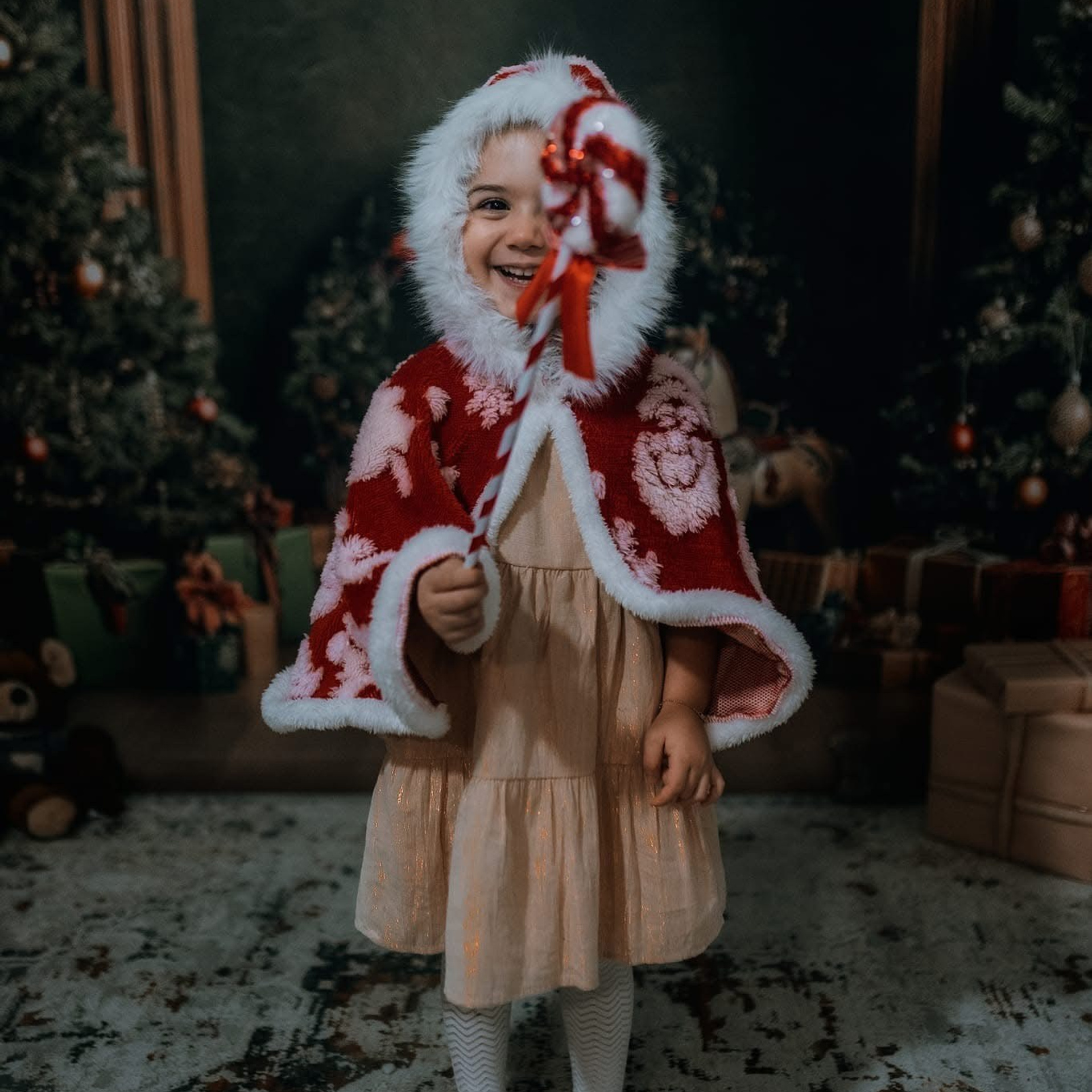 🎄 SEDINTE FOTO DE CRACIUN 2025. Emotions Photo Art