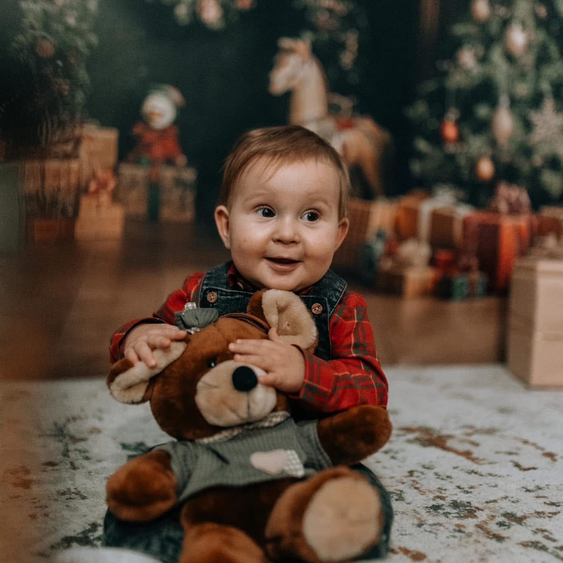 🎄 SEDINTE FOTO DE CRACIUN 2025. Emotions Photo Art