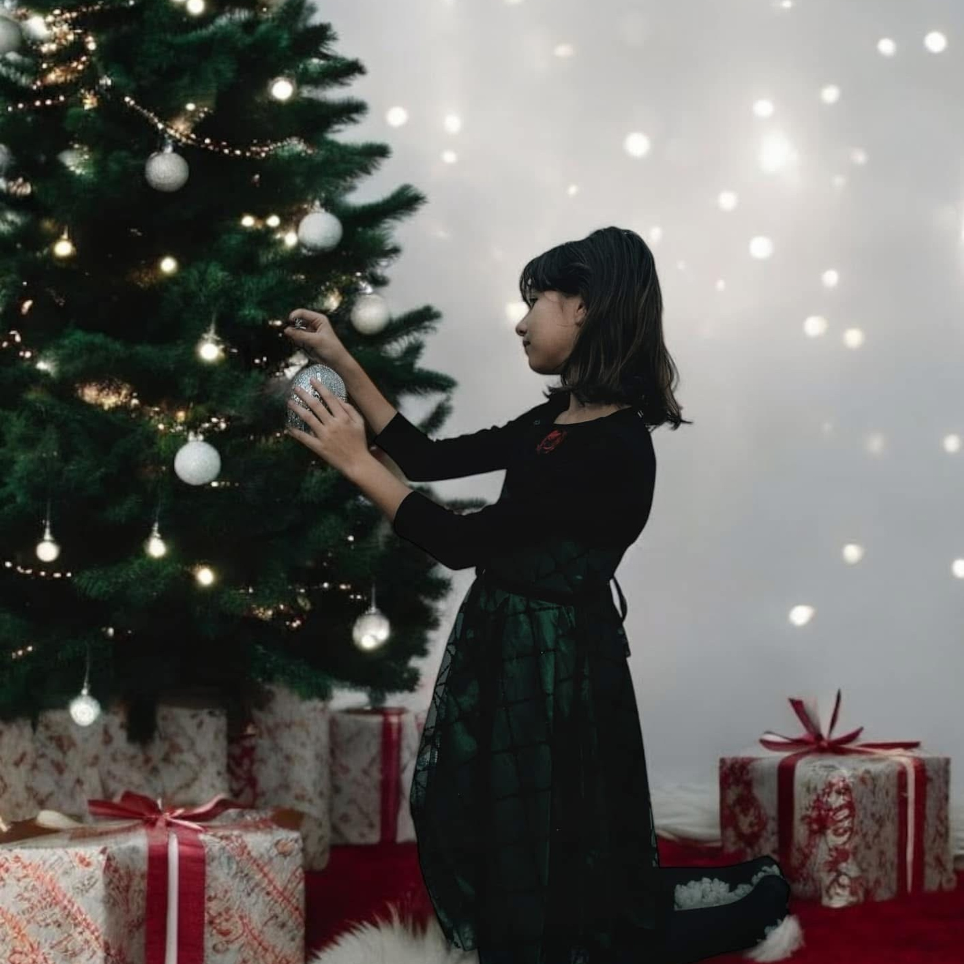 🎄 SEDINTE FOTO DE CRACIUN 2025. Emotions Photo Art