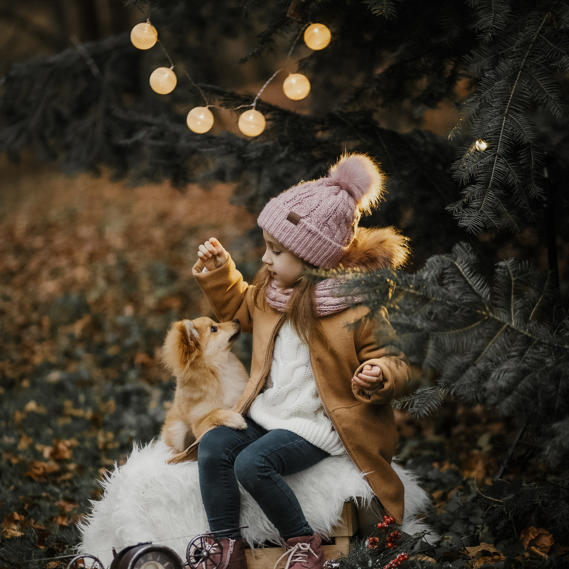 Отзывы. Elizaveta Romanova Fotografin in Hamburg