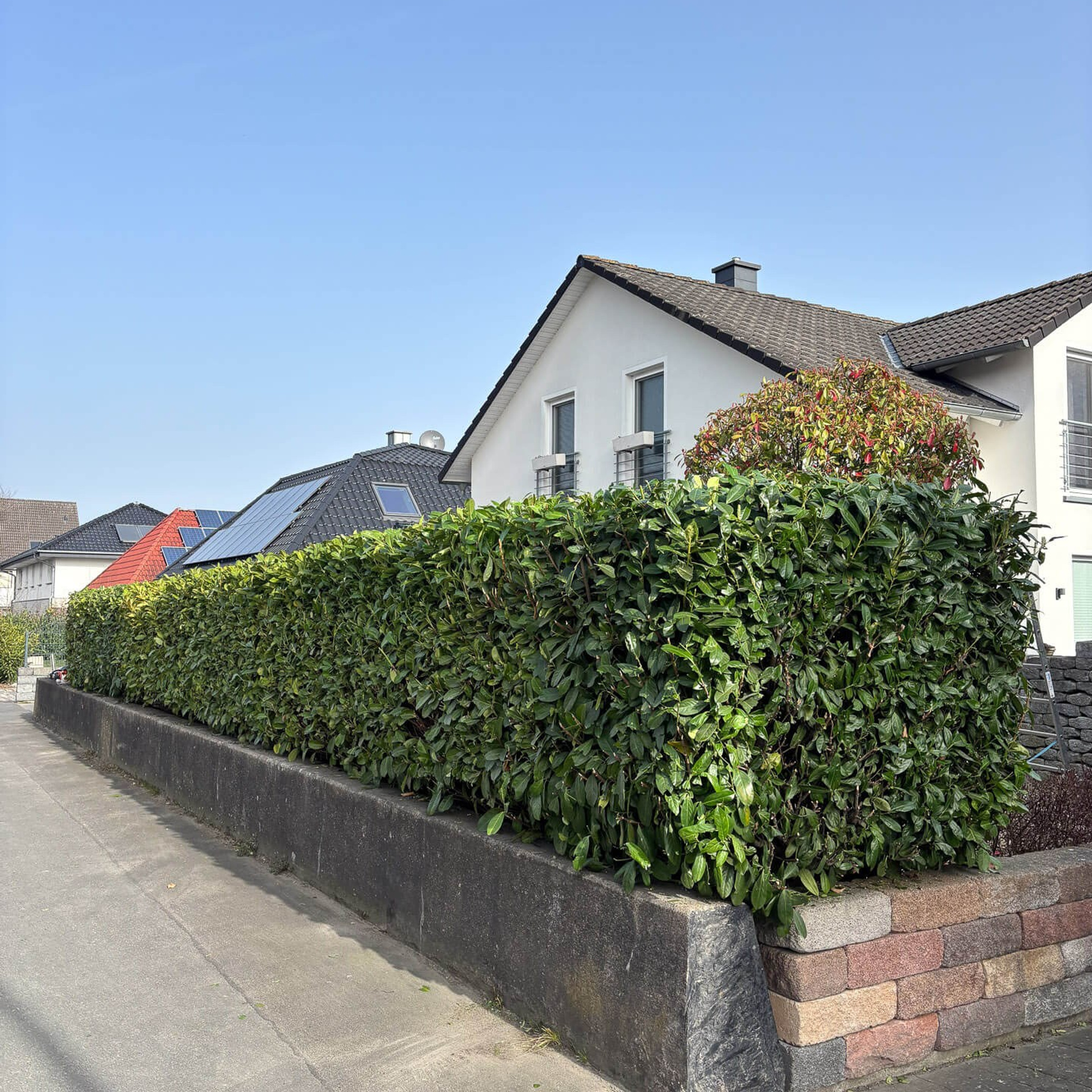 Rezensionen Gartenservice Gulda. Gulda Gärtnerei - Gartenservice in Hamm, Soest, Beckum und Umgebung