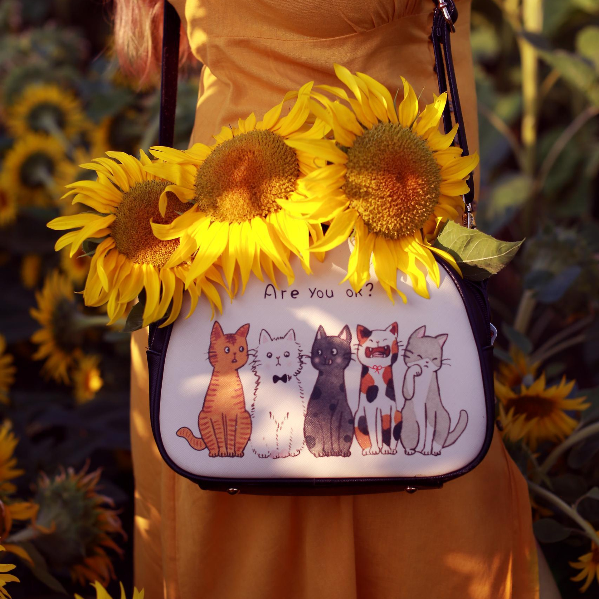 Testimonials. Daria Dmitrieva Newborn Photographer in Serbia