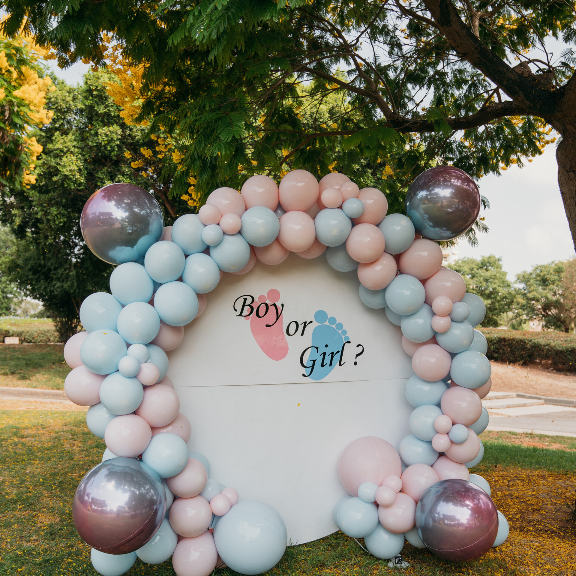 Отзывы. Семейный фотограф в Израиле