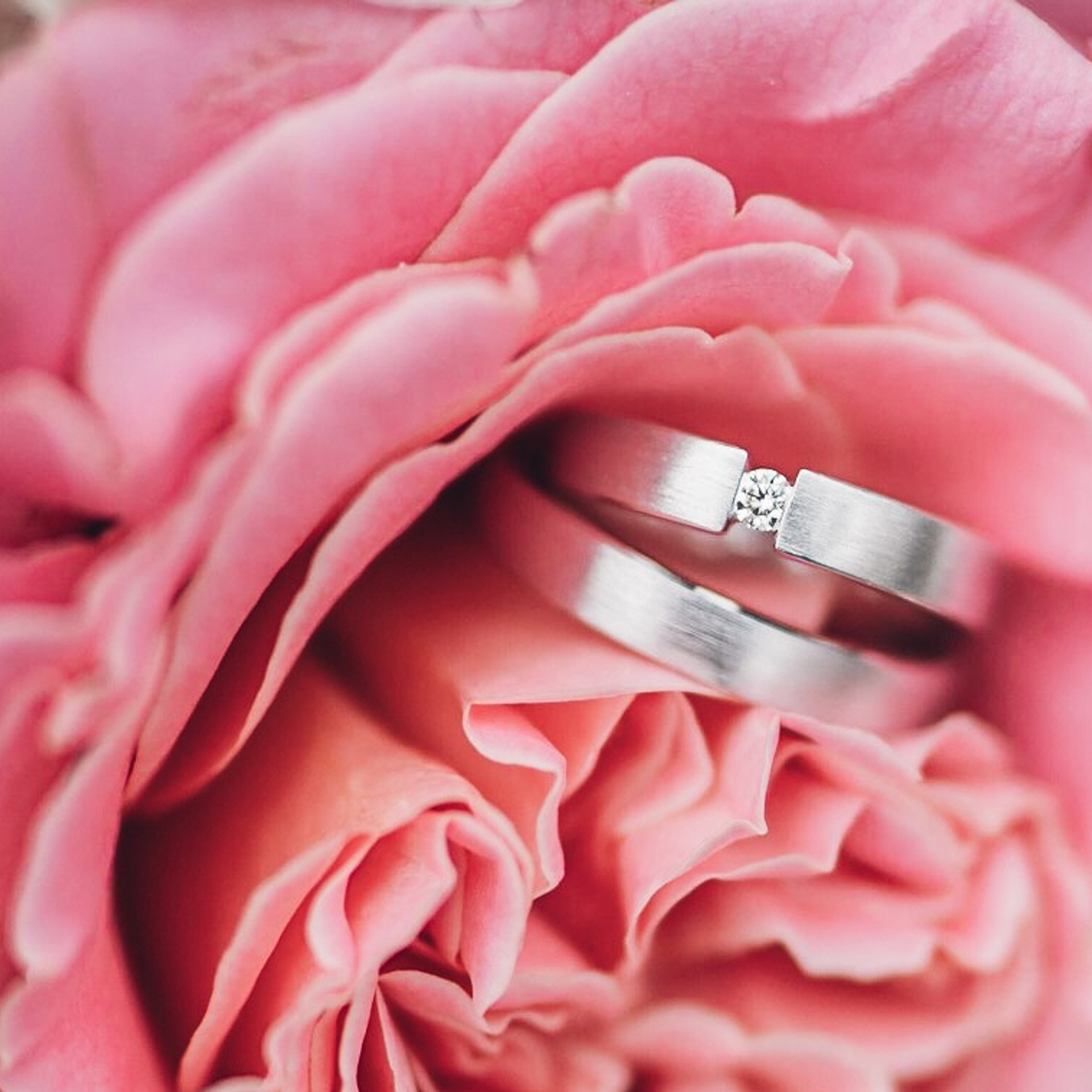 Feedback. Wedding Photography - Augenblicke Des Lebens