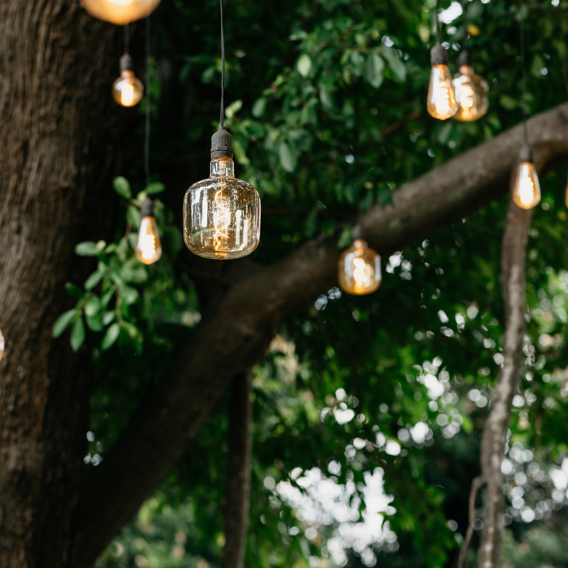 Feedback. Photographer in Singapore Kate Bird