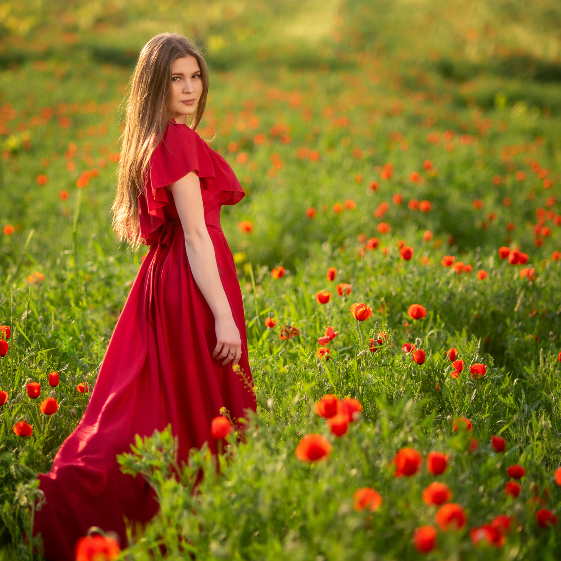 Маковое поле