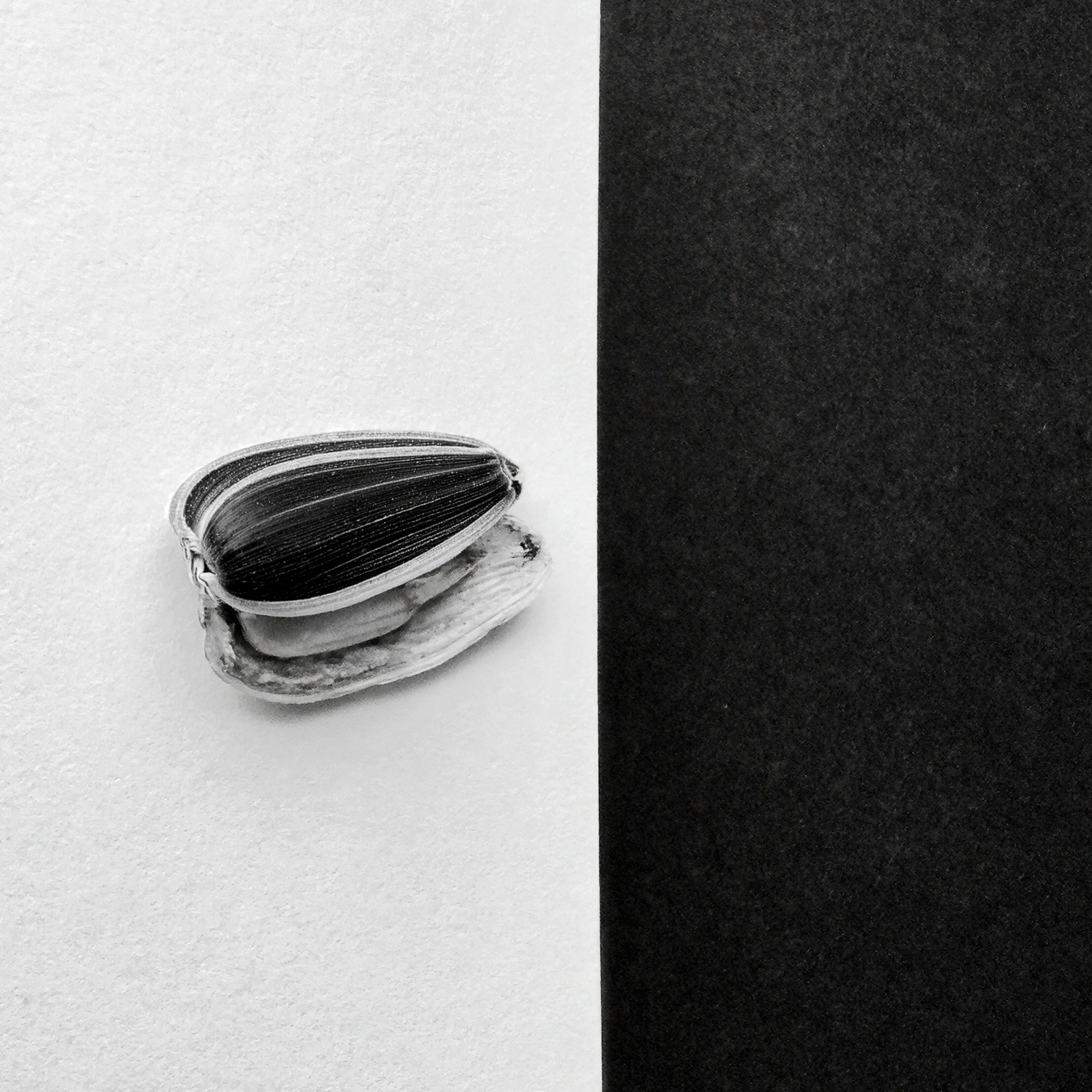 MARUSIYA. Julia Kantor | Architecture & Abstract Photographer