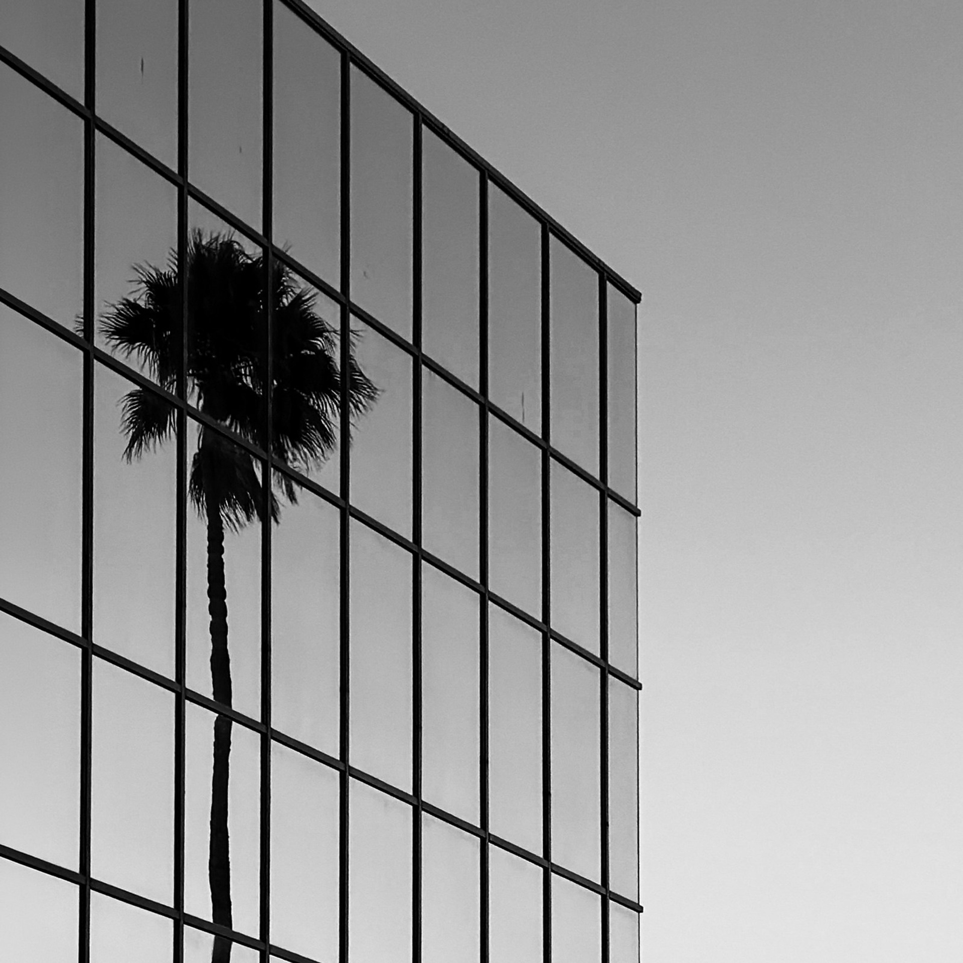 LOOKING AGAIN. Julia Kantor | Architecture & Abstract Photographer