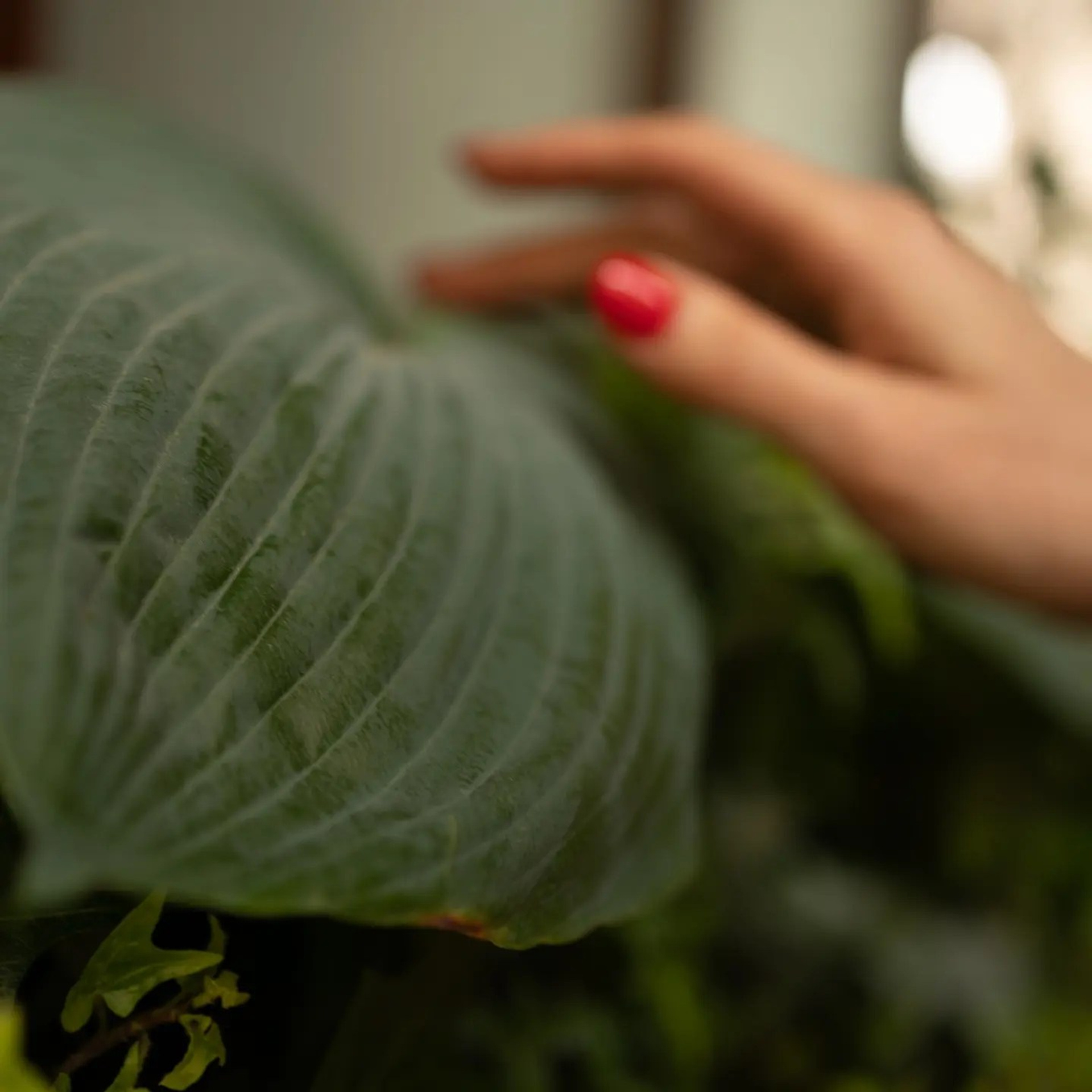Témoignages. Je suis Olga, votre photographe de famille à Metz et dans toute la France