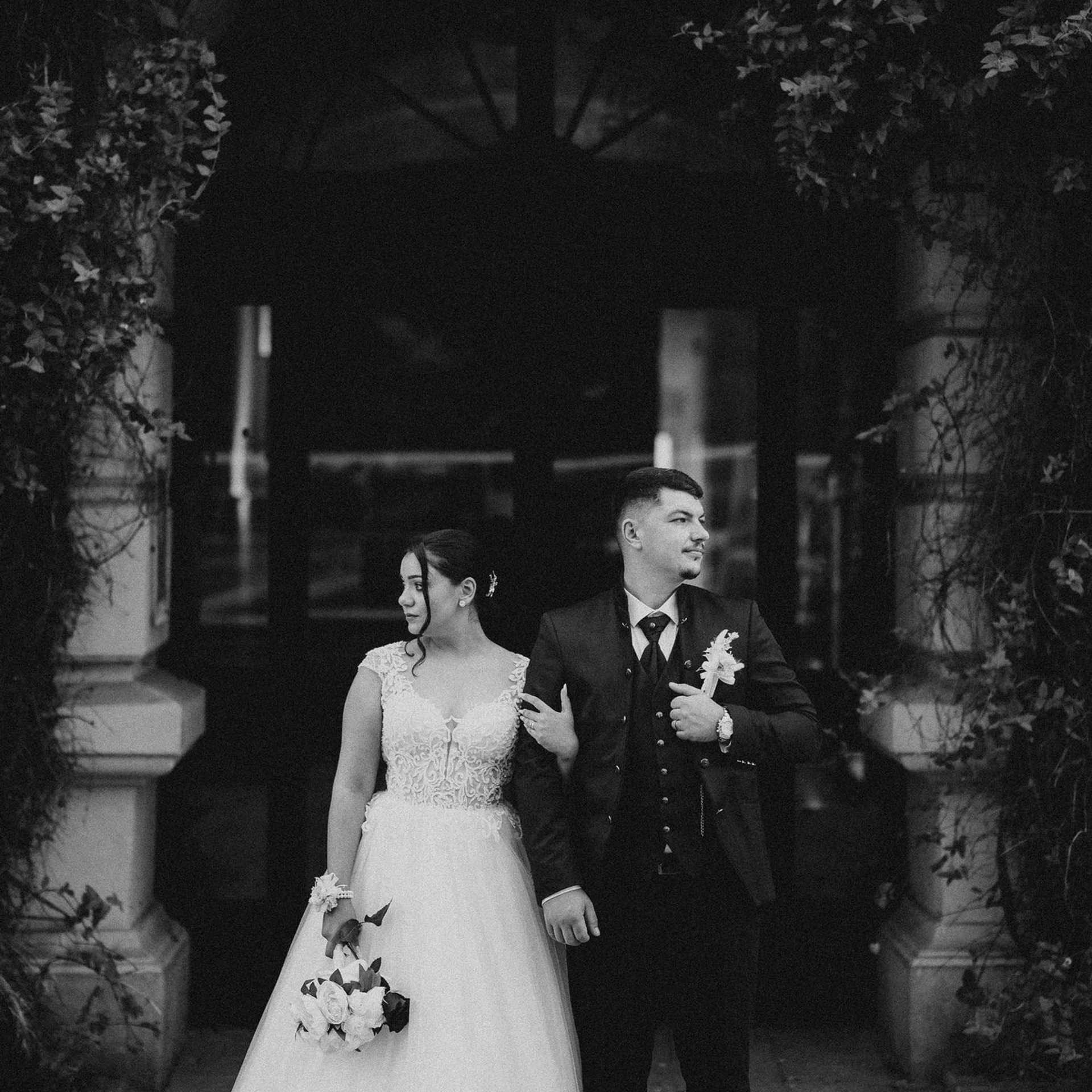 Recenzii. Catalin Brinza