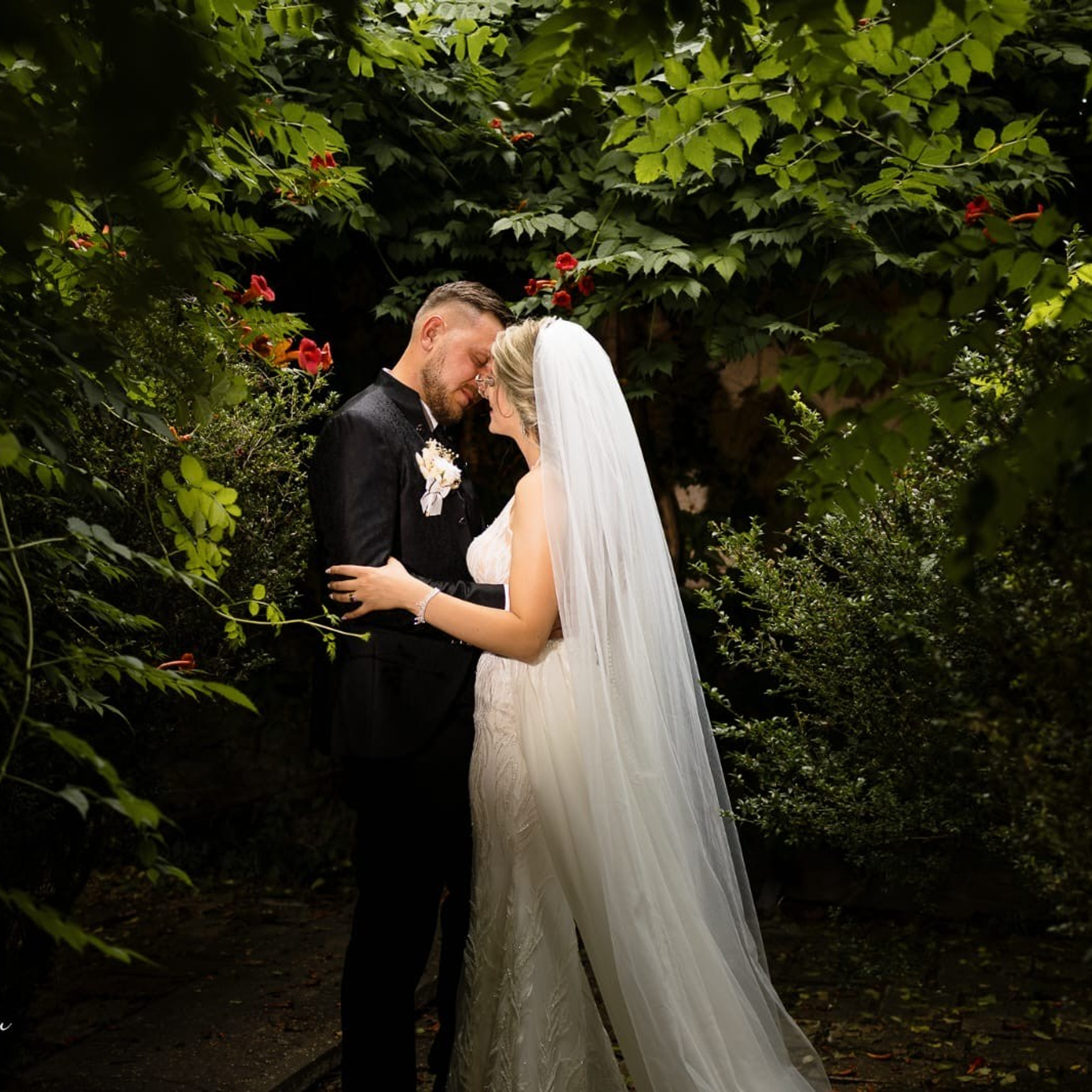 Recenzii. Catalin Brinza