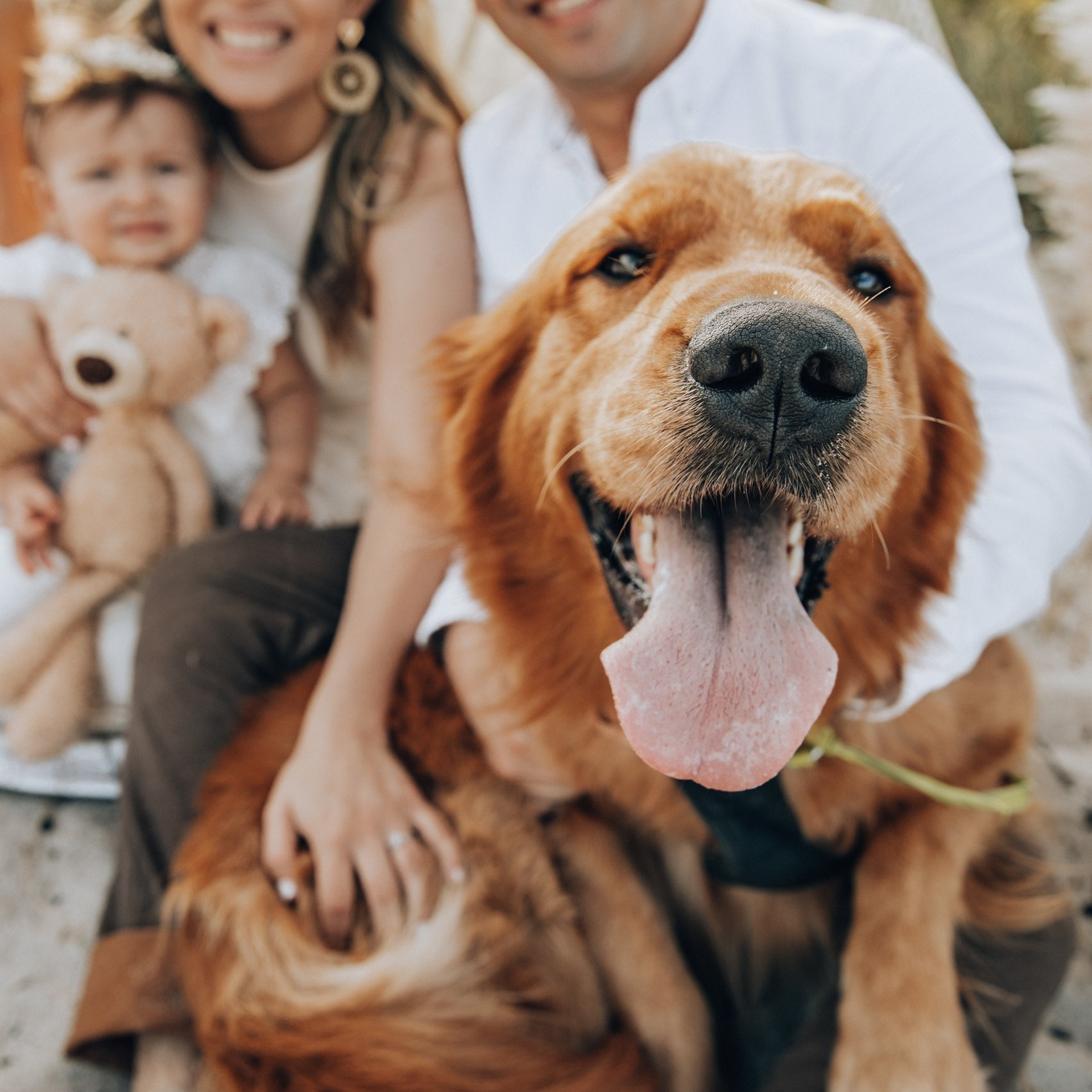 Reviews. Photographer in Miami, Family photographer, Event, Wedding