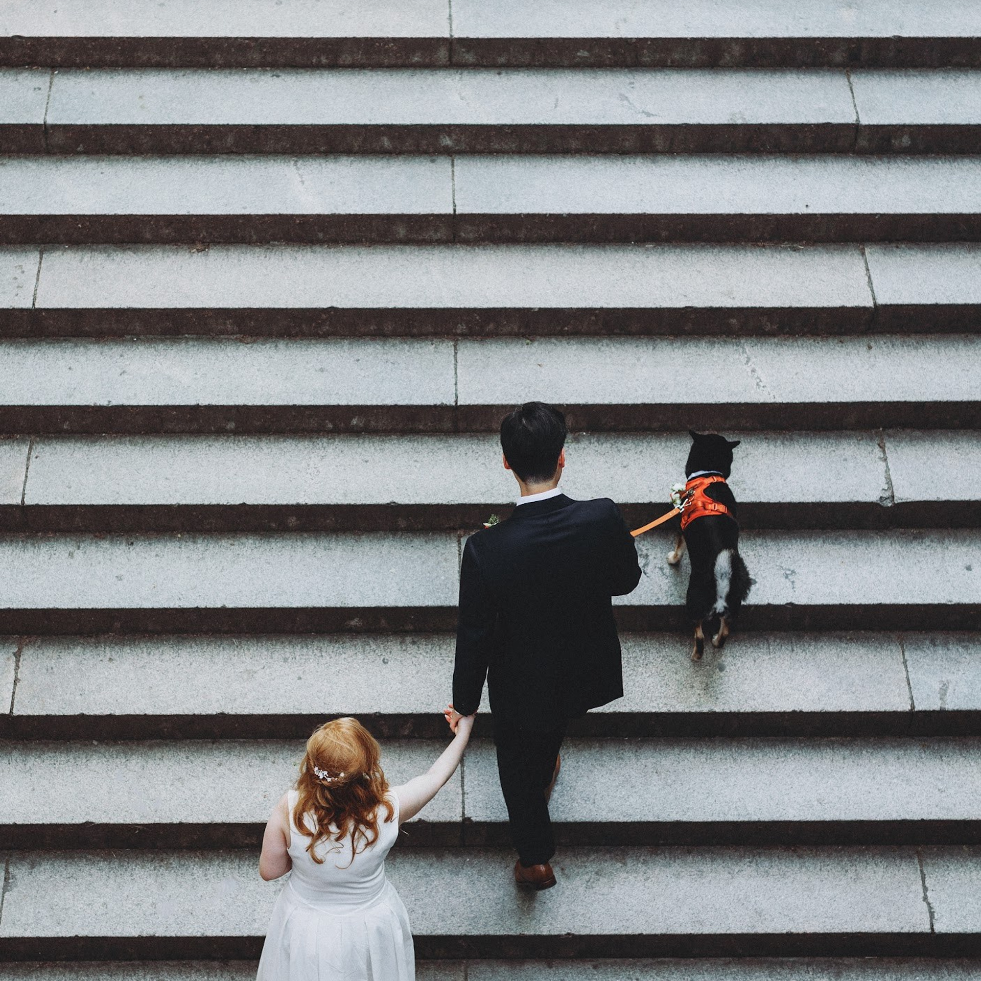 Client Reviews – NYC Photo Sessions. Sasha Amelie | Lifestyle and Wedding Photography | NYC and Beyond