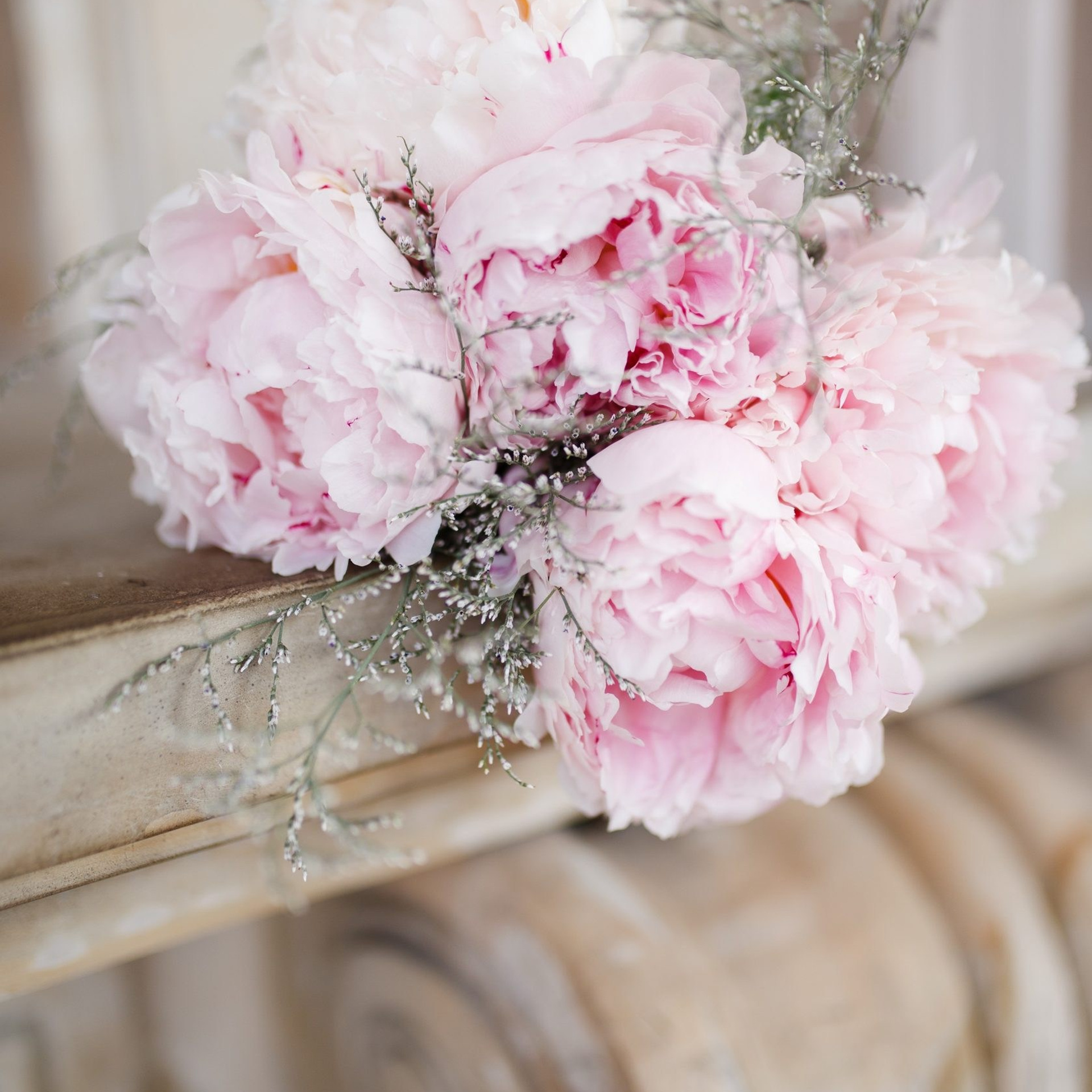 Portfolio. Presets for any camera, any light, any genre