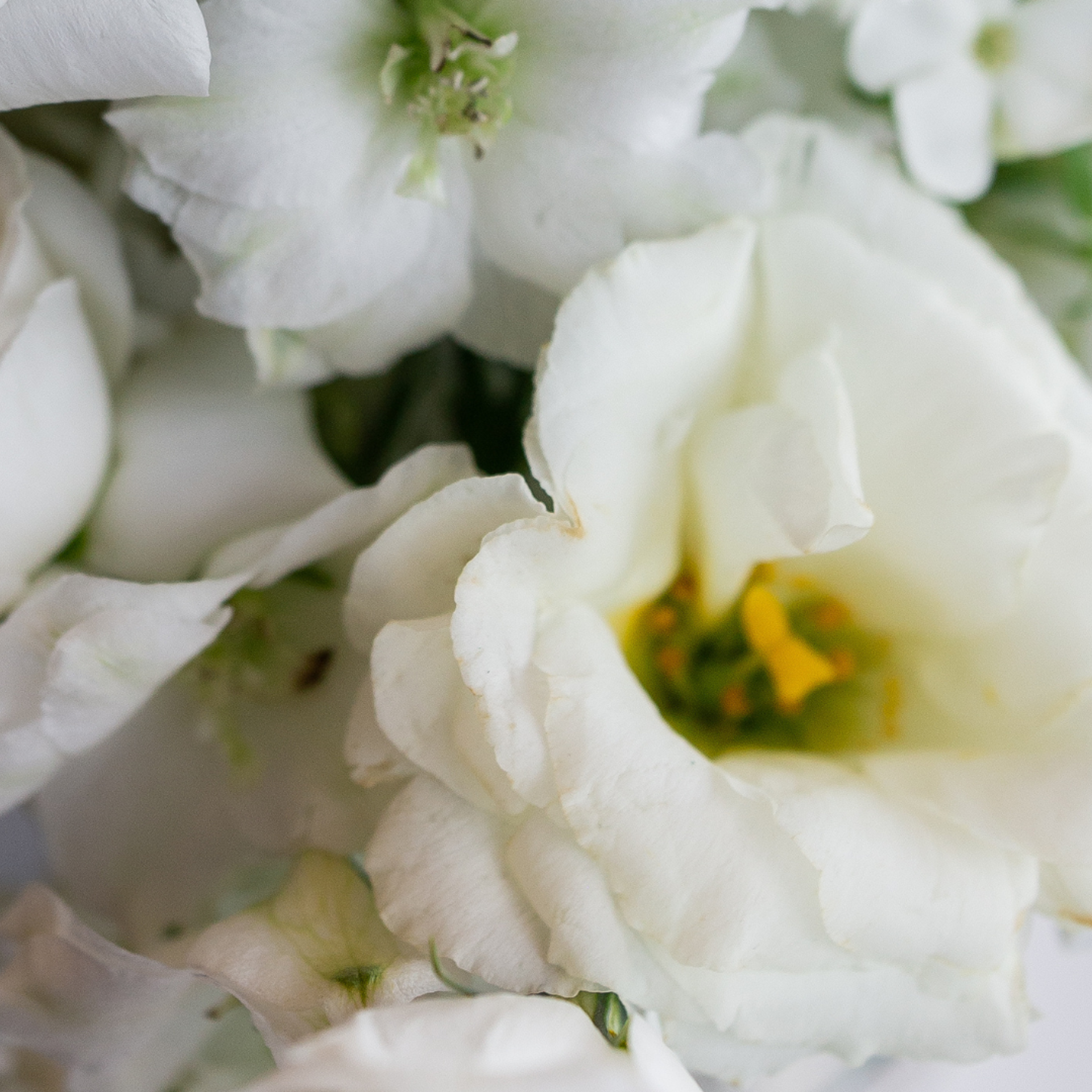 Portfolio. Presets for any camera, any light, any genre