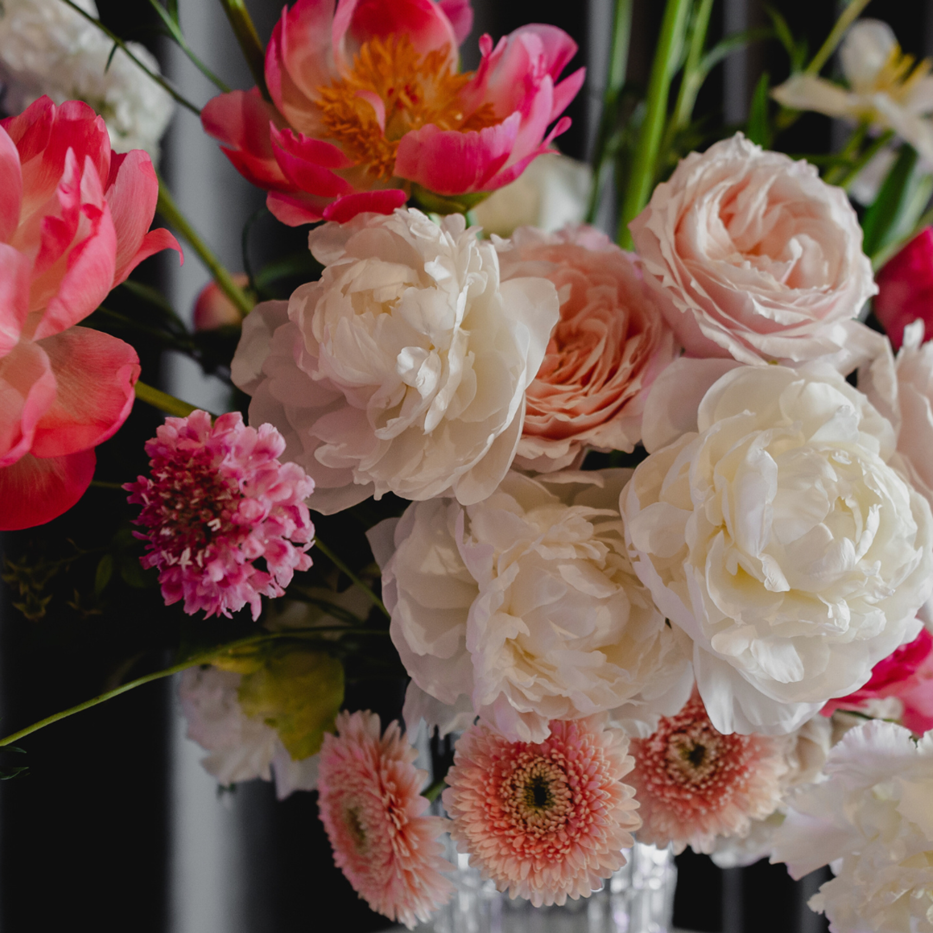 Portfolio. Presets for any camera, any light, any genre