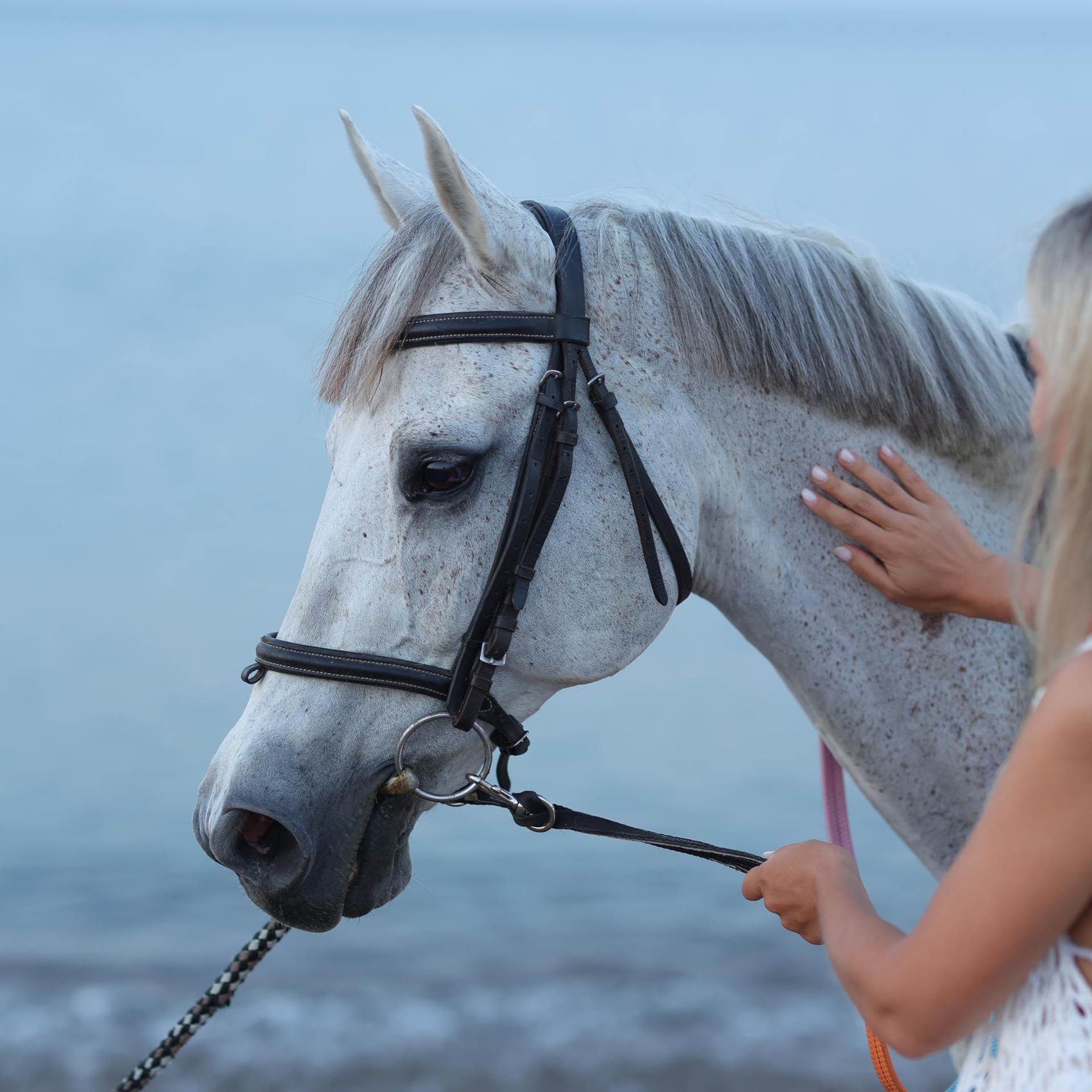Отзывы. Фотосессии в Анталии, Кемере, Сиде, Белеке, Каше Djamilya Akkanat