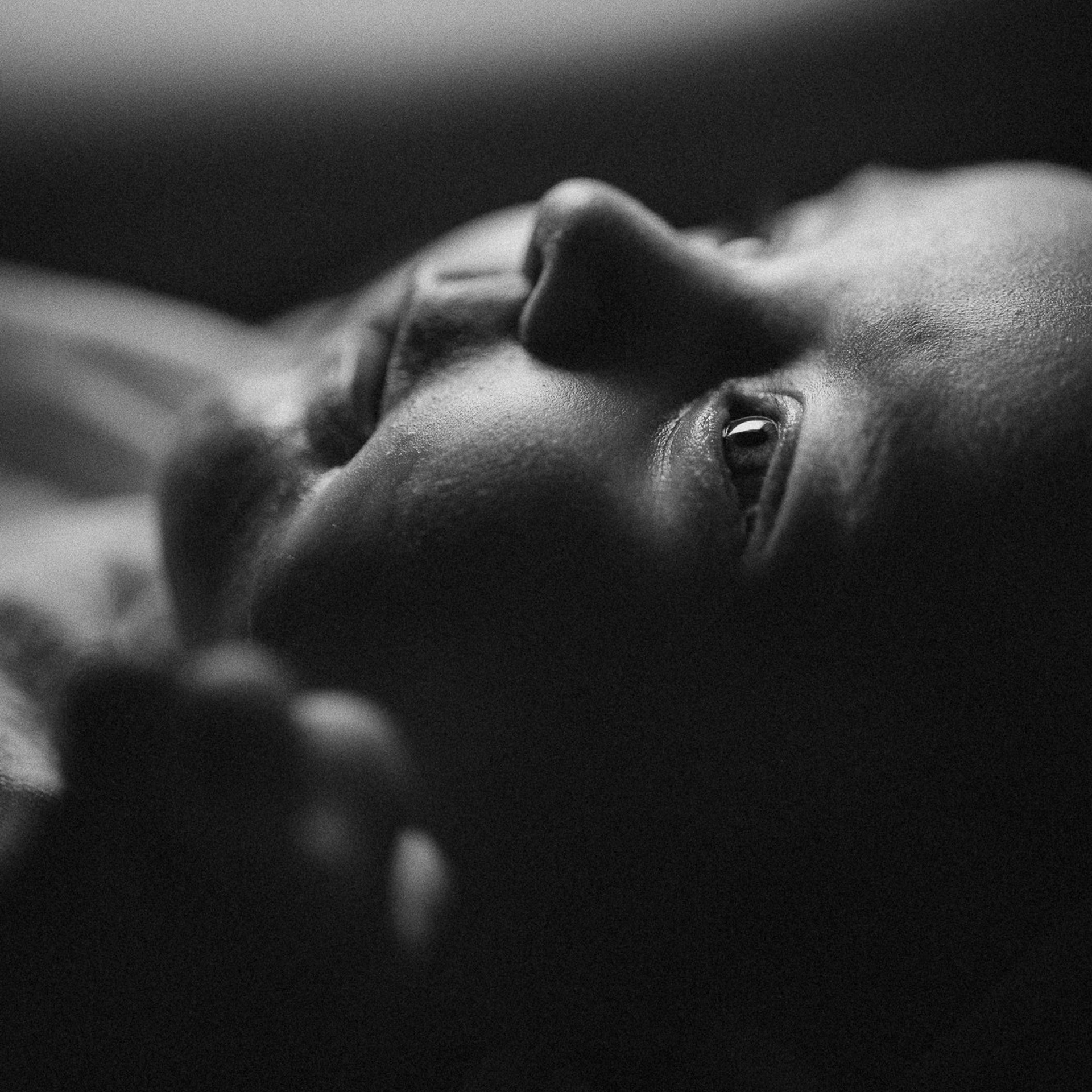 Kate’s Bumps Party — Preview. Fotografa de família e crianças em Florianópolis SC Daria Ermolaev