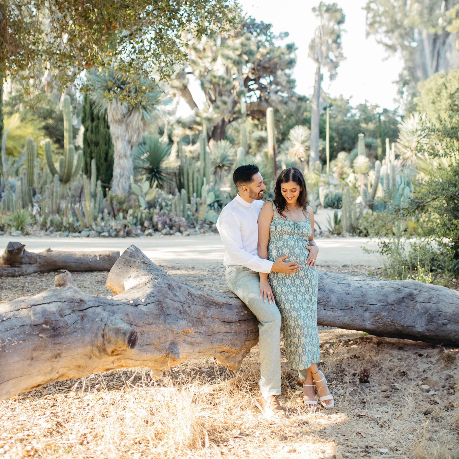 Arizona Cactus Garden, Stanford|Maternity Photo Session