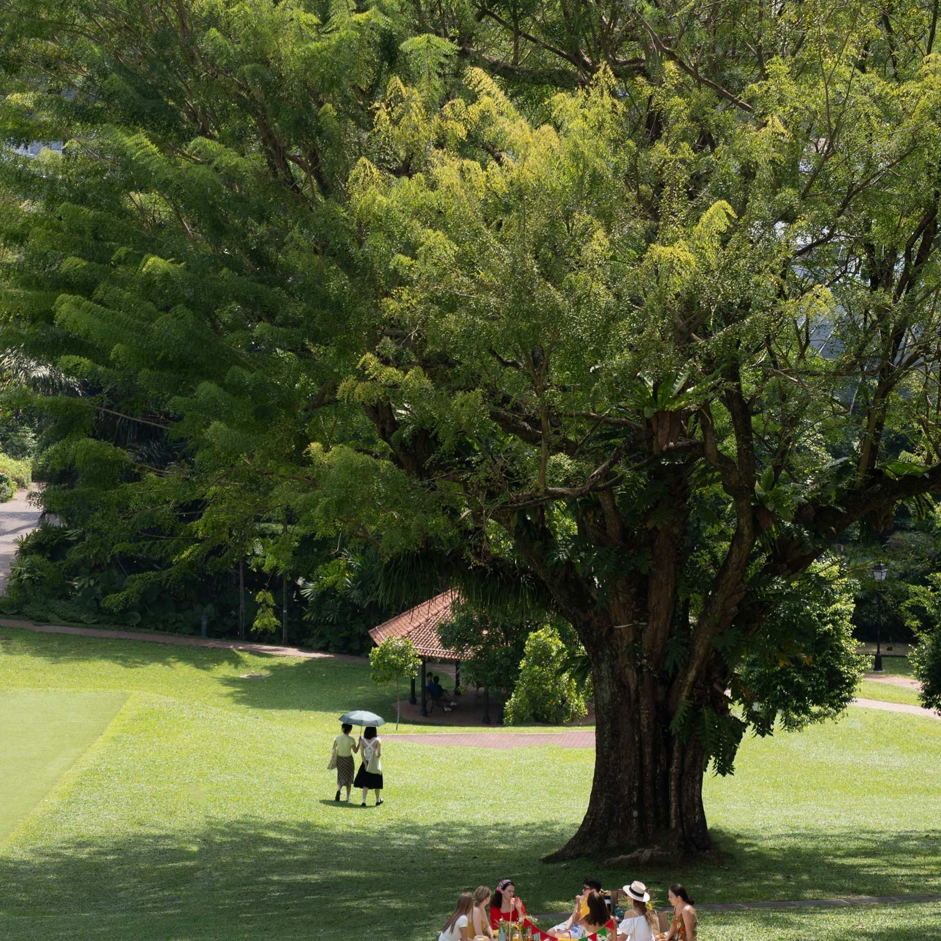 Testimonials. Dasha in Singapore