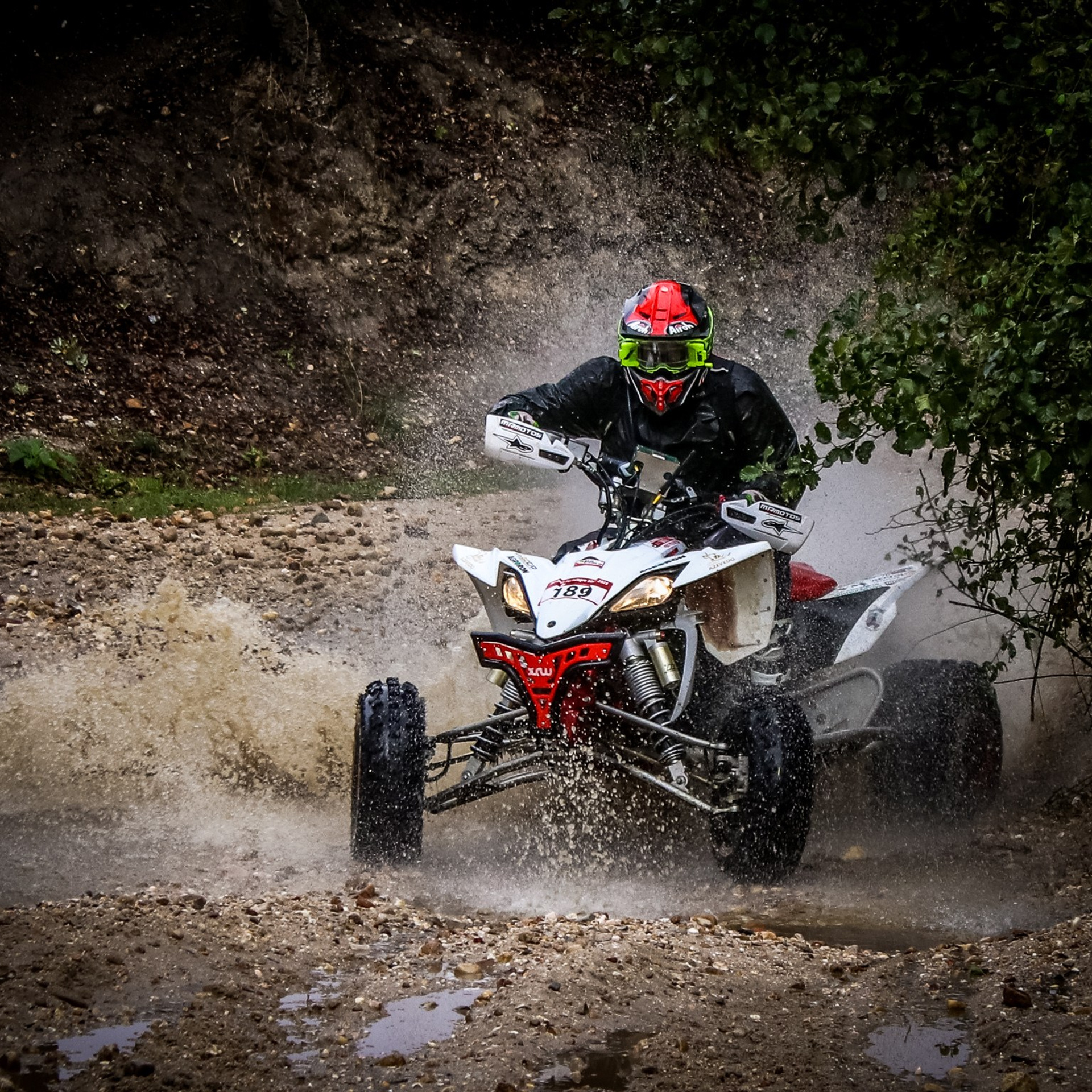 QUAD