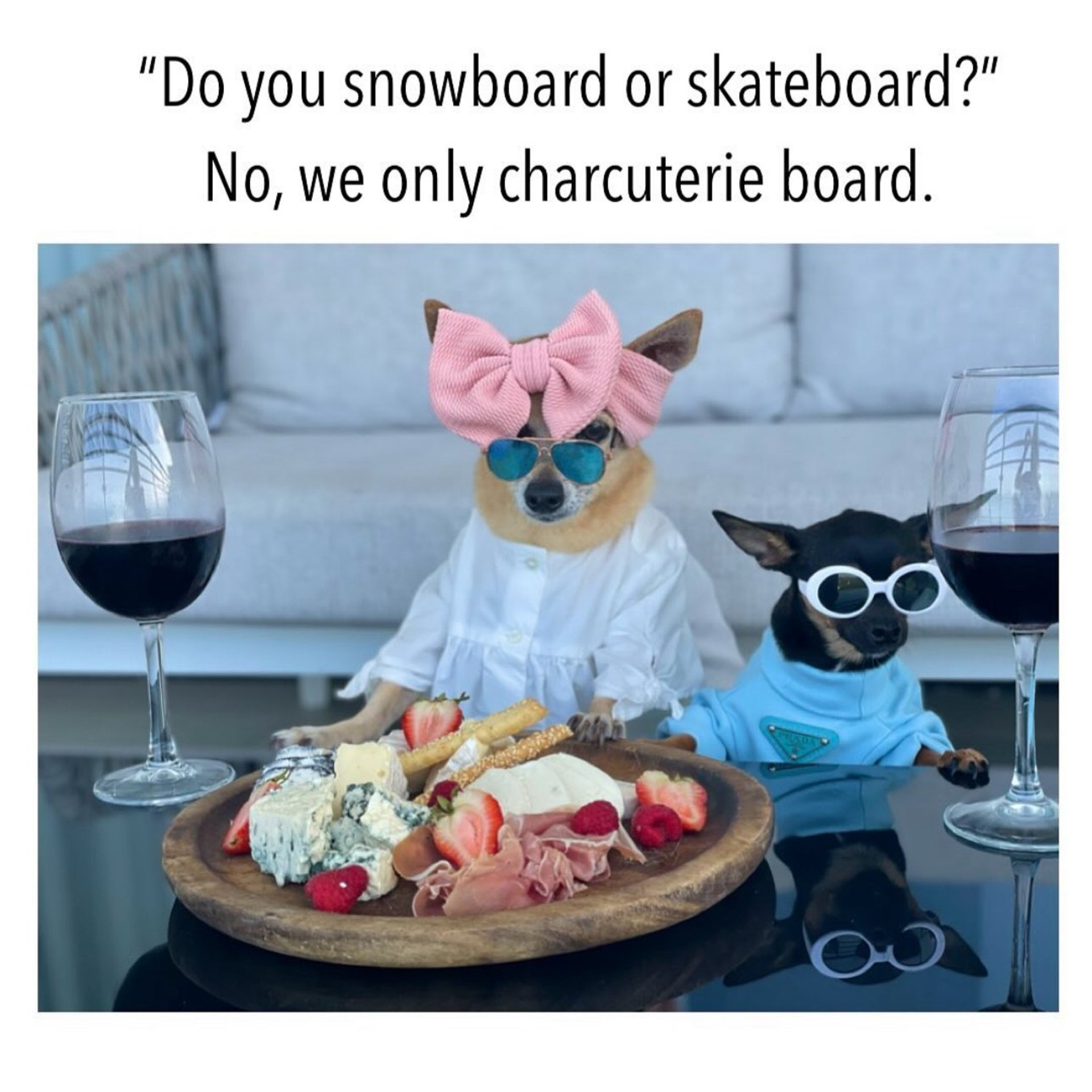 Feedback. Barbarica. Photography