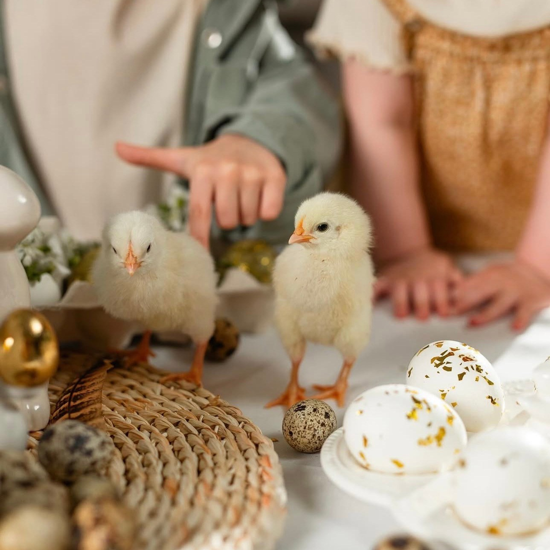 Lieldienu minifotosesija: avanss (29.03.2026.). Populārākā kāzu, bērnu un ģimeņu fotogrāfe Latgalē Veronika Lokotko