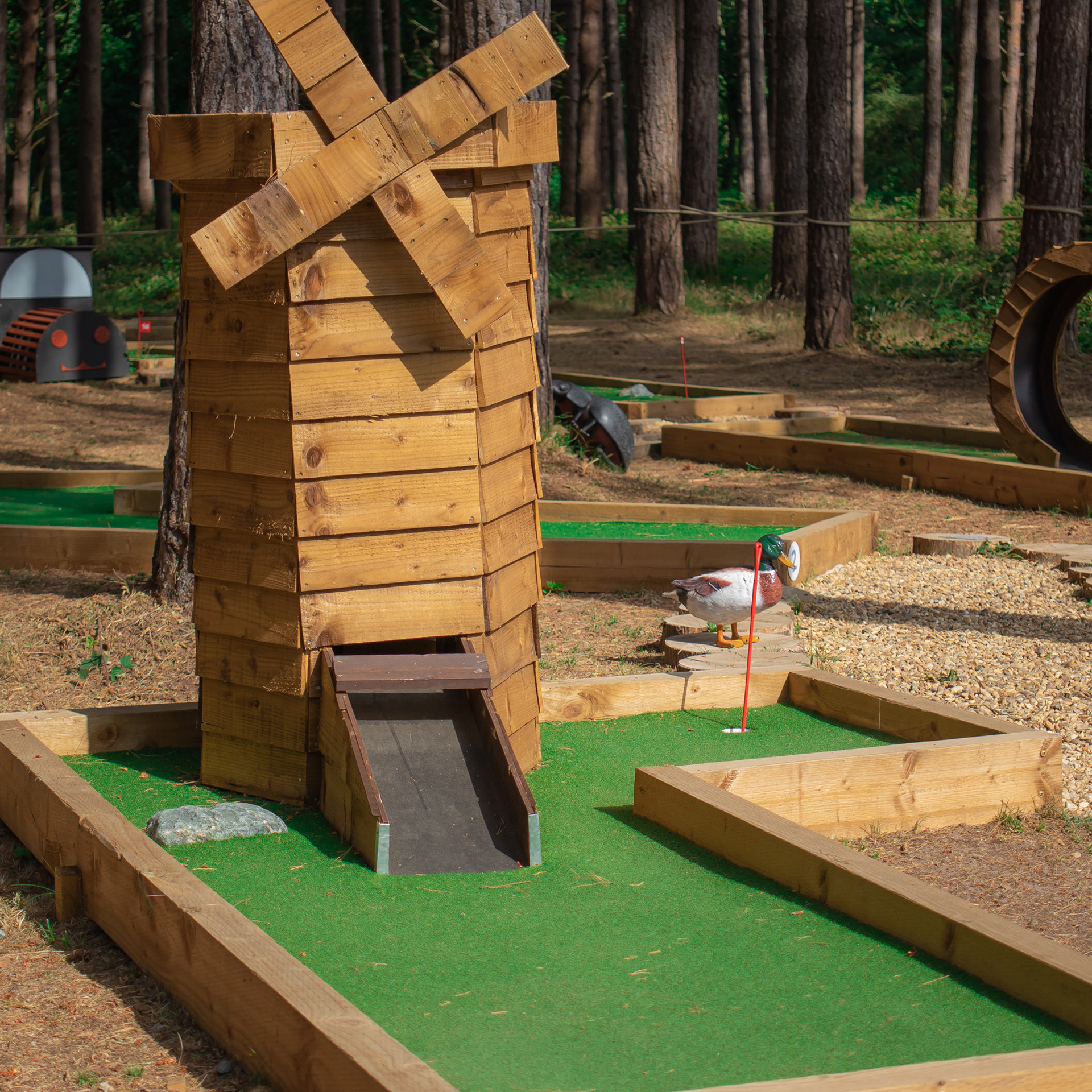 Feedbacks. Anna Levina Photography