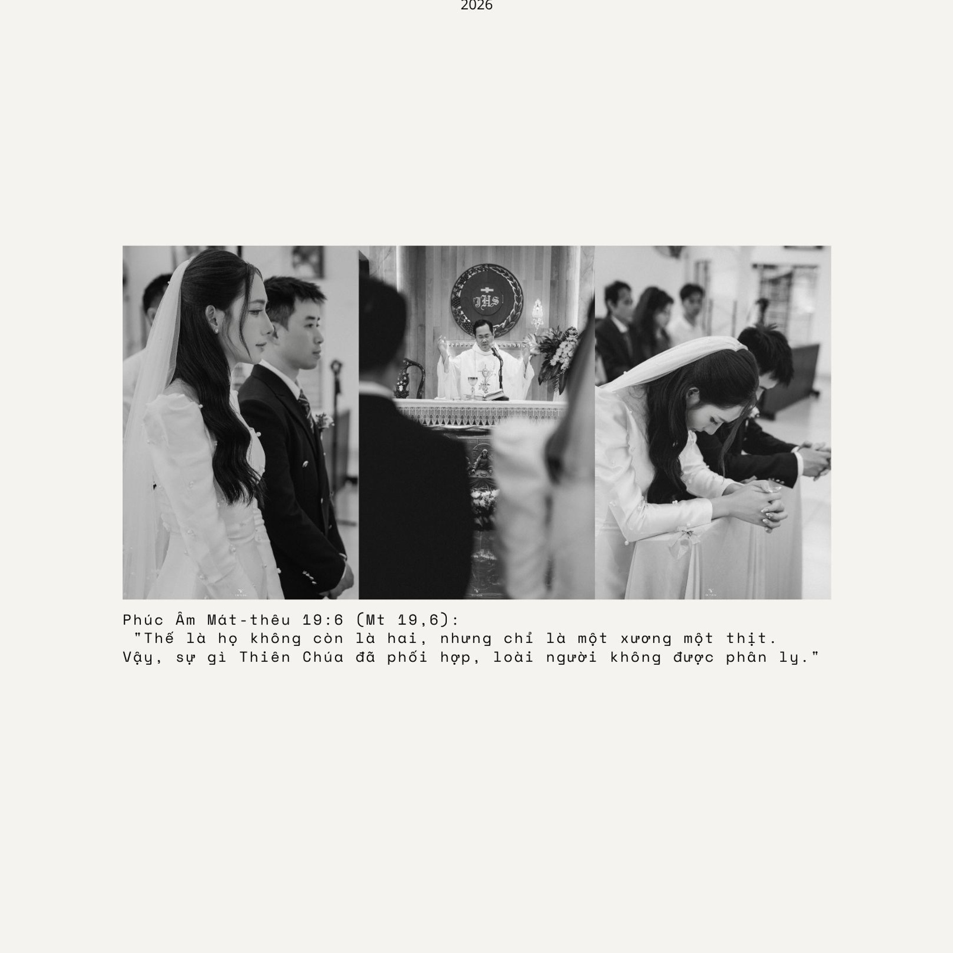 NT&nbsp;— TRANG & CANG