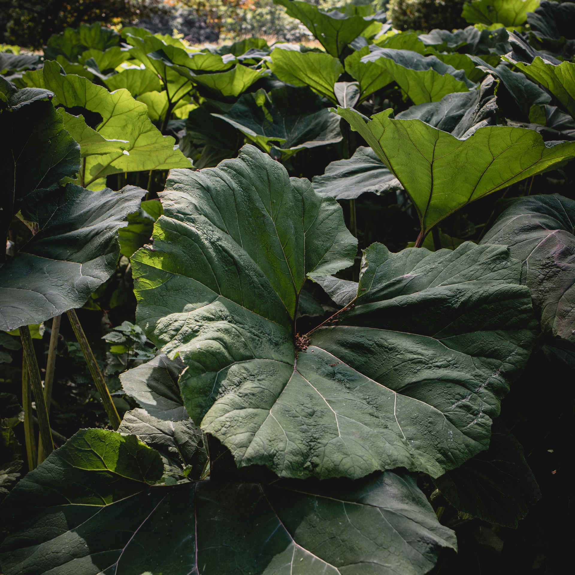 Reviews. Professional wedding photographer in Copenhagen, Denmark — Julia Byron