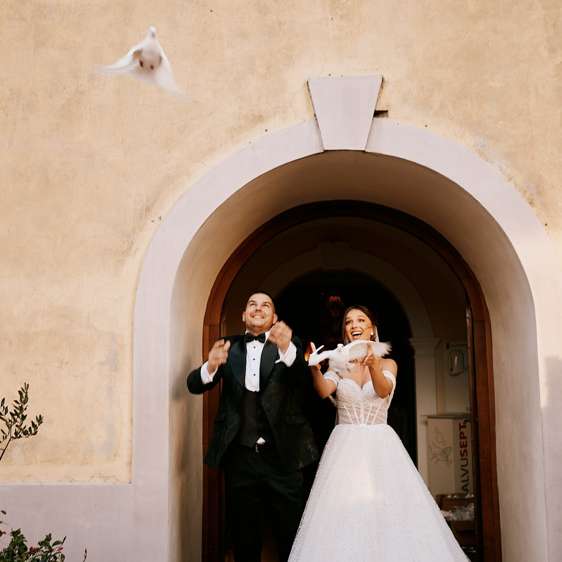 Contact. Switzerland-Austria-Croatia-Montenegro wedding photographer and videographer Yannia weddings