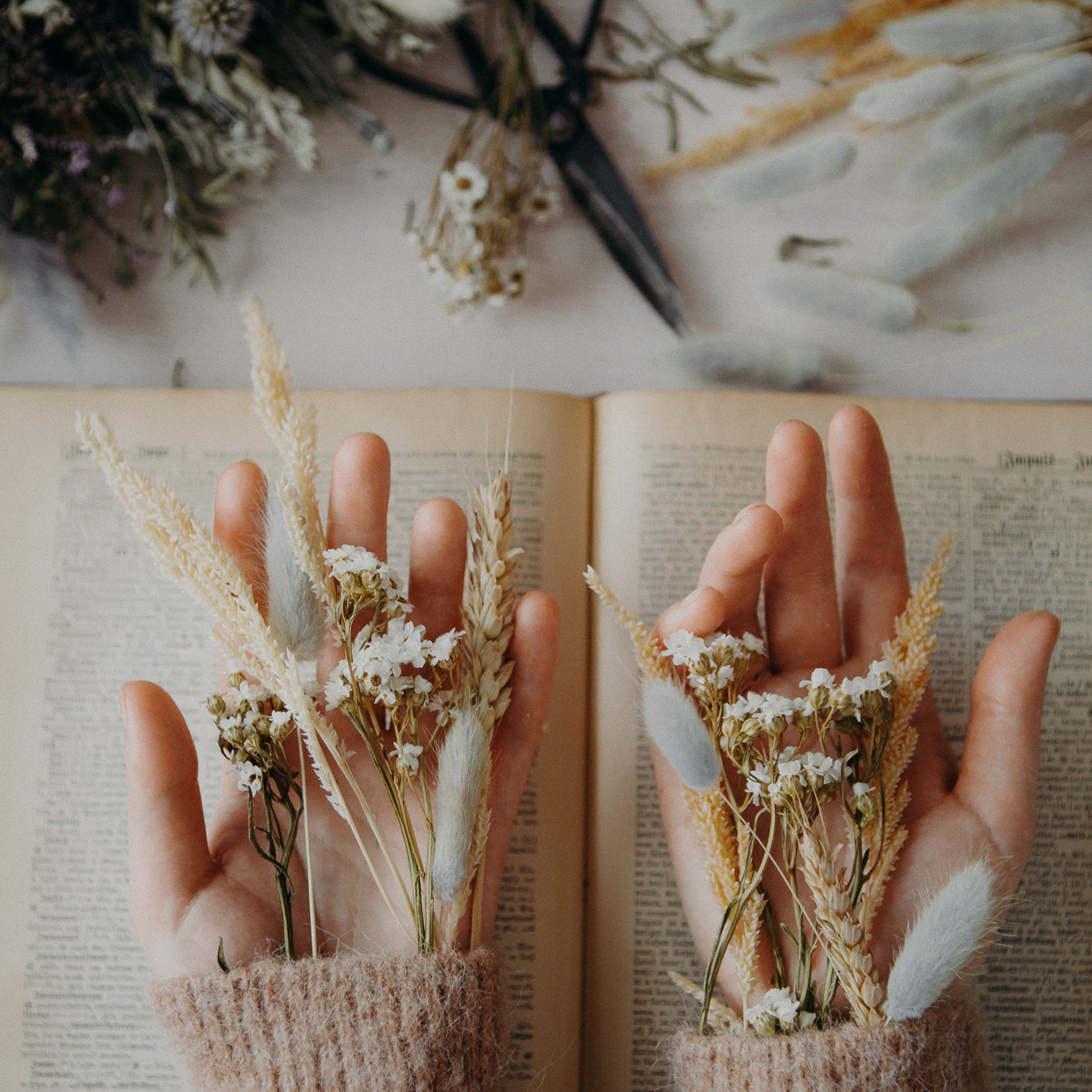 Контент для мастера сухоцветов