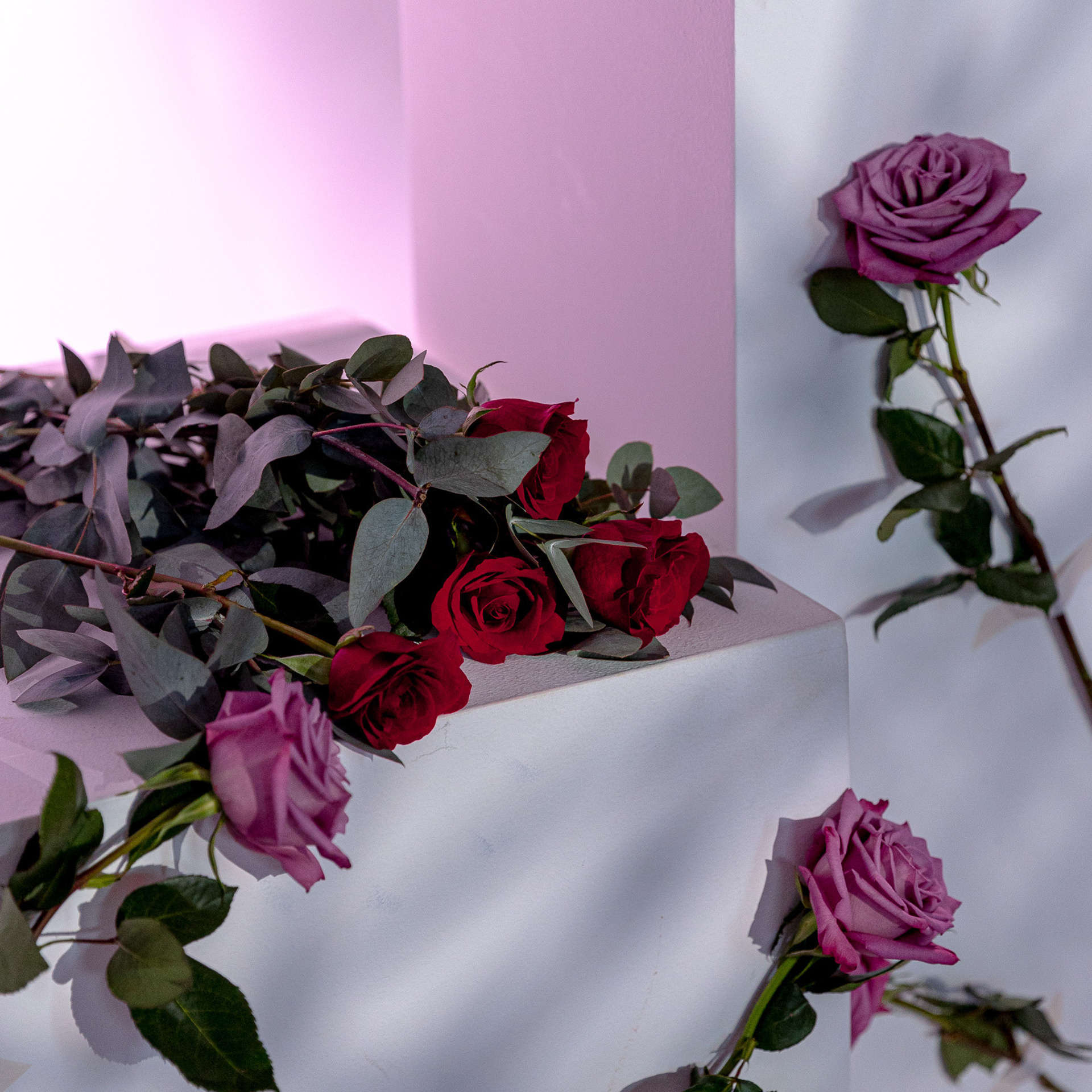 Feedback. Photo and video production in Dubai UAE