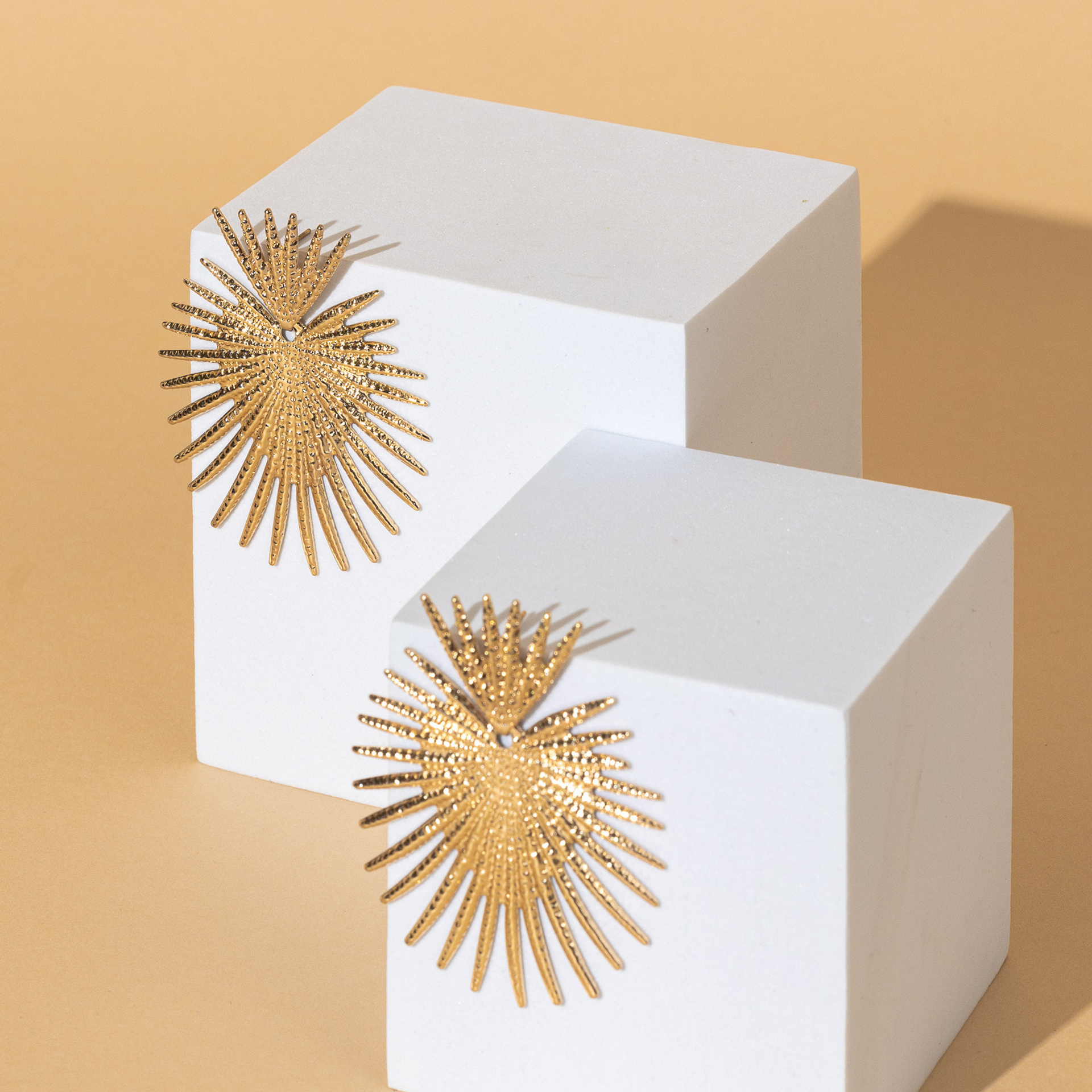 Feedback. Photo and video production in Dubai UAE