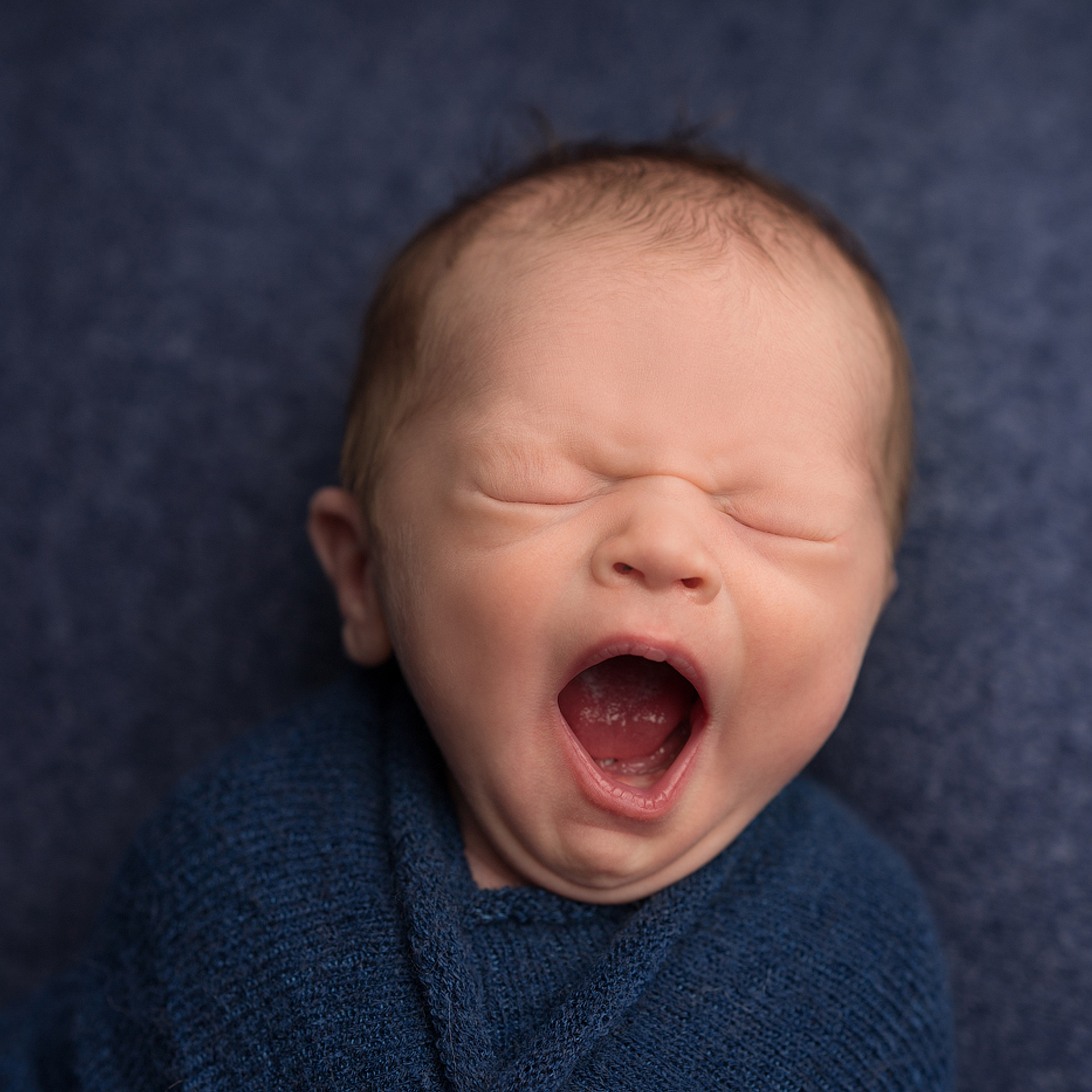 Feedback on your photo session. Newborn and family photographer. Hills District. Sydney